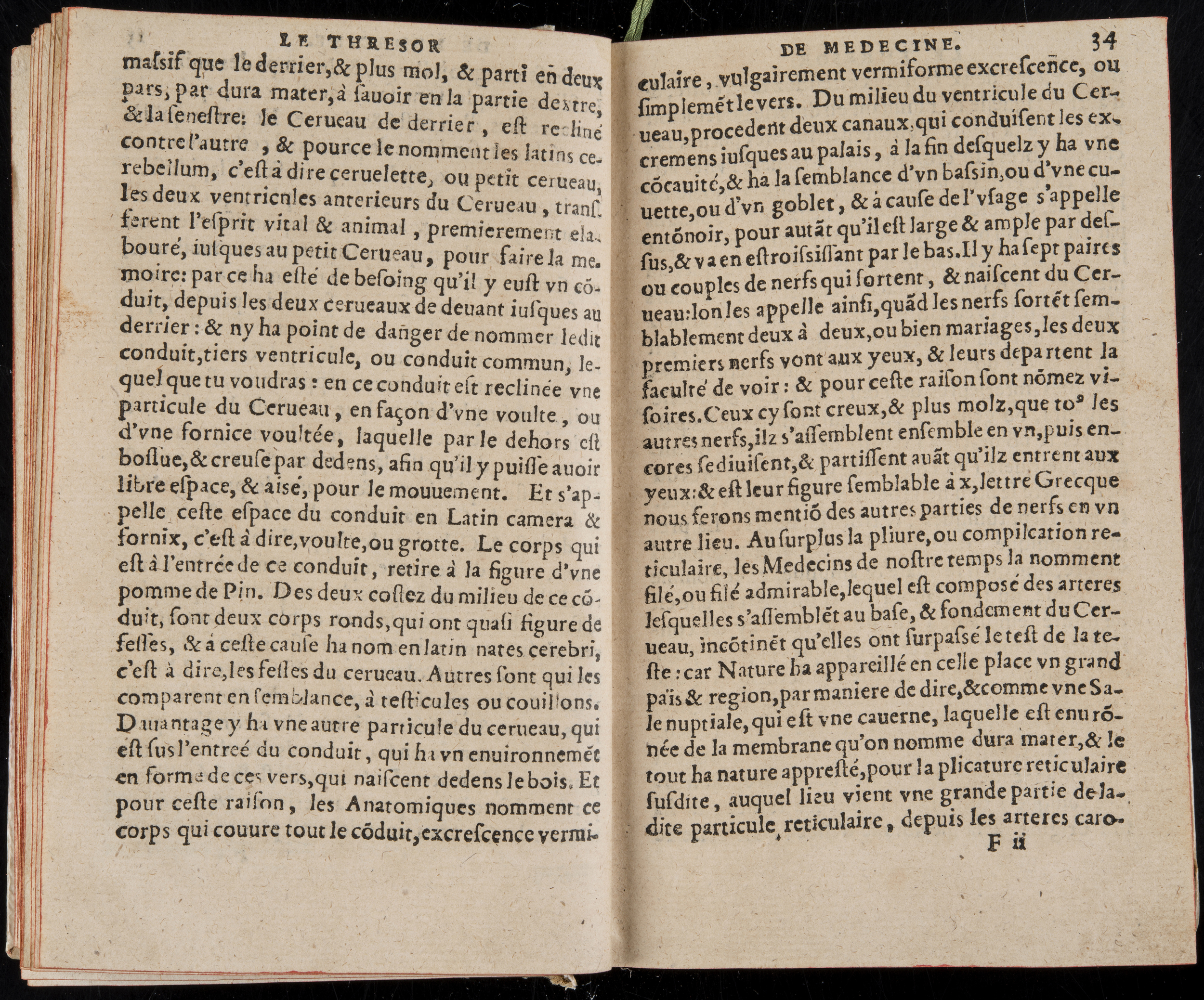 1560 - Nicolas Pelletier - Trésor de médecine - BM Poitiers