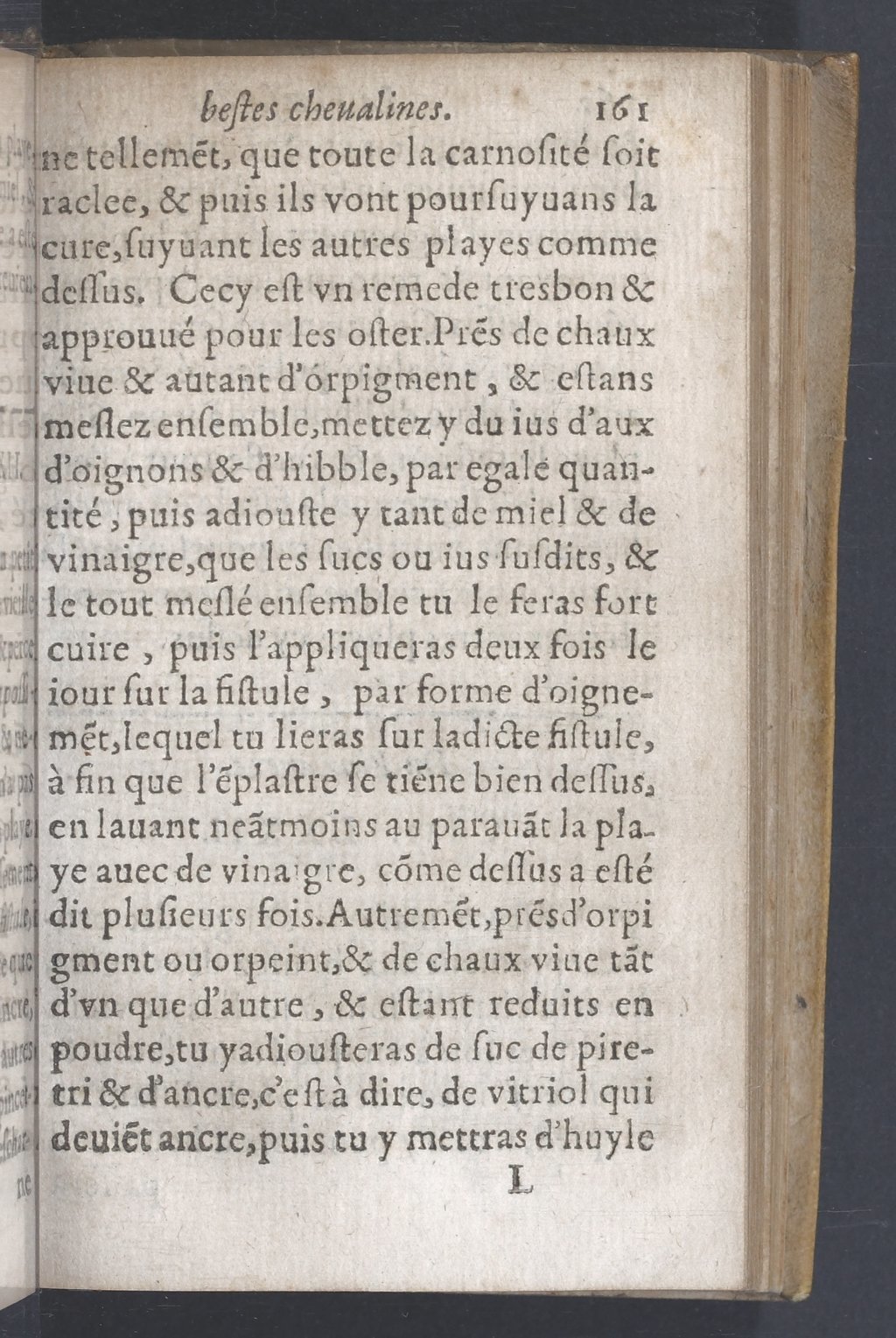 1619 - Pierre Rigaud - Trésor des bêtes chevalines - BnF 1619 - Pierre Rigaud - Trésor des bêtes chevalines - BnF