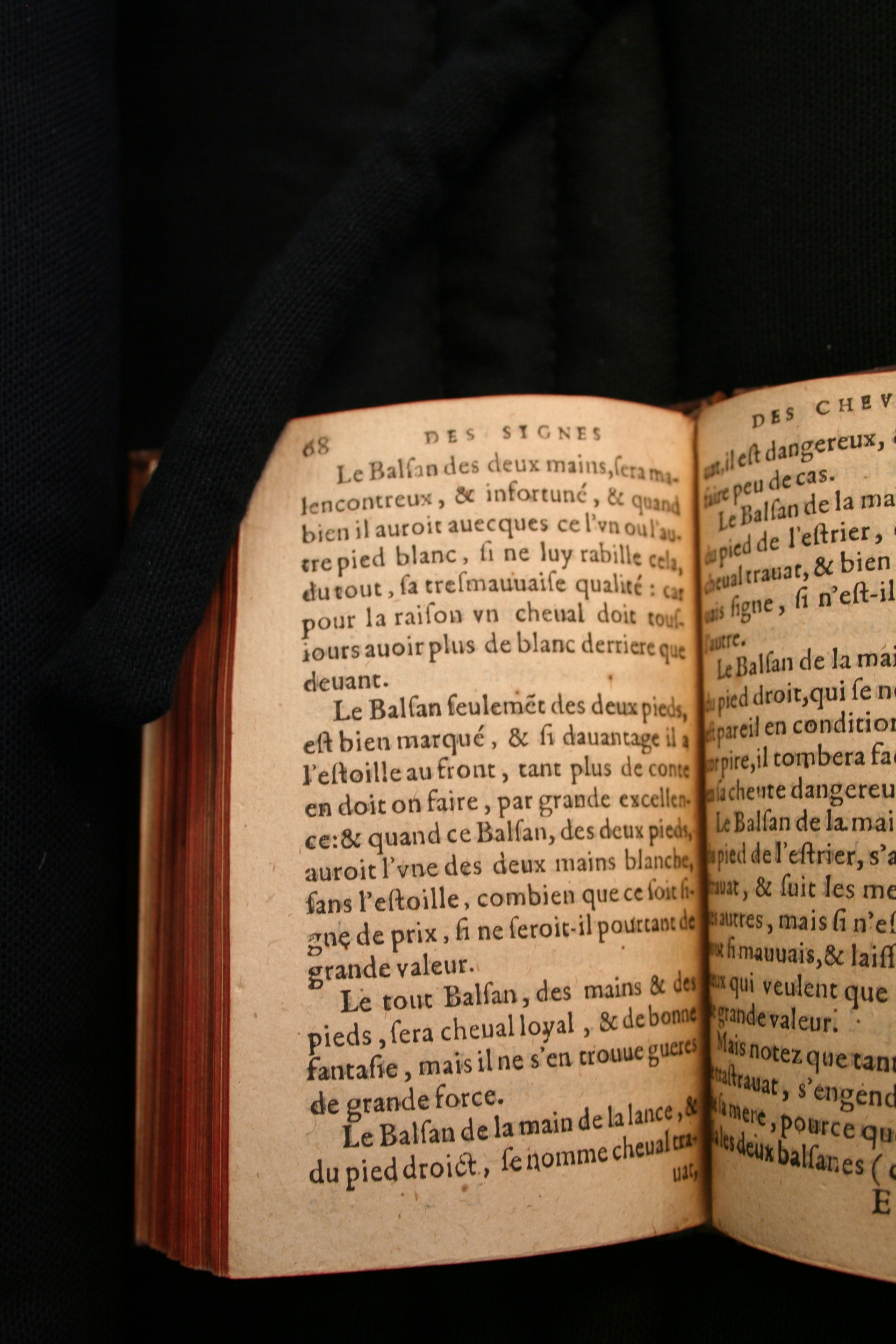 1591 - Pierre Chastaing et Benoît Rigaud - Trésor des bêtes chevalines - BM Bordeaux