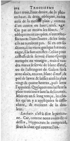1612 - Thomas Portau - Trésor de chirurgie - BIU Santé_Page_317.jpg