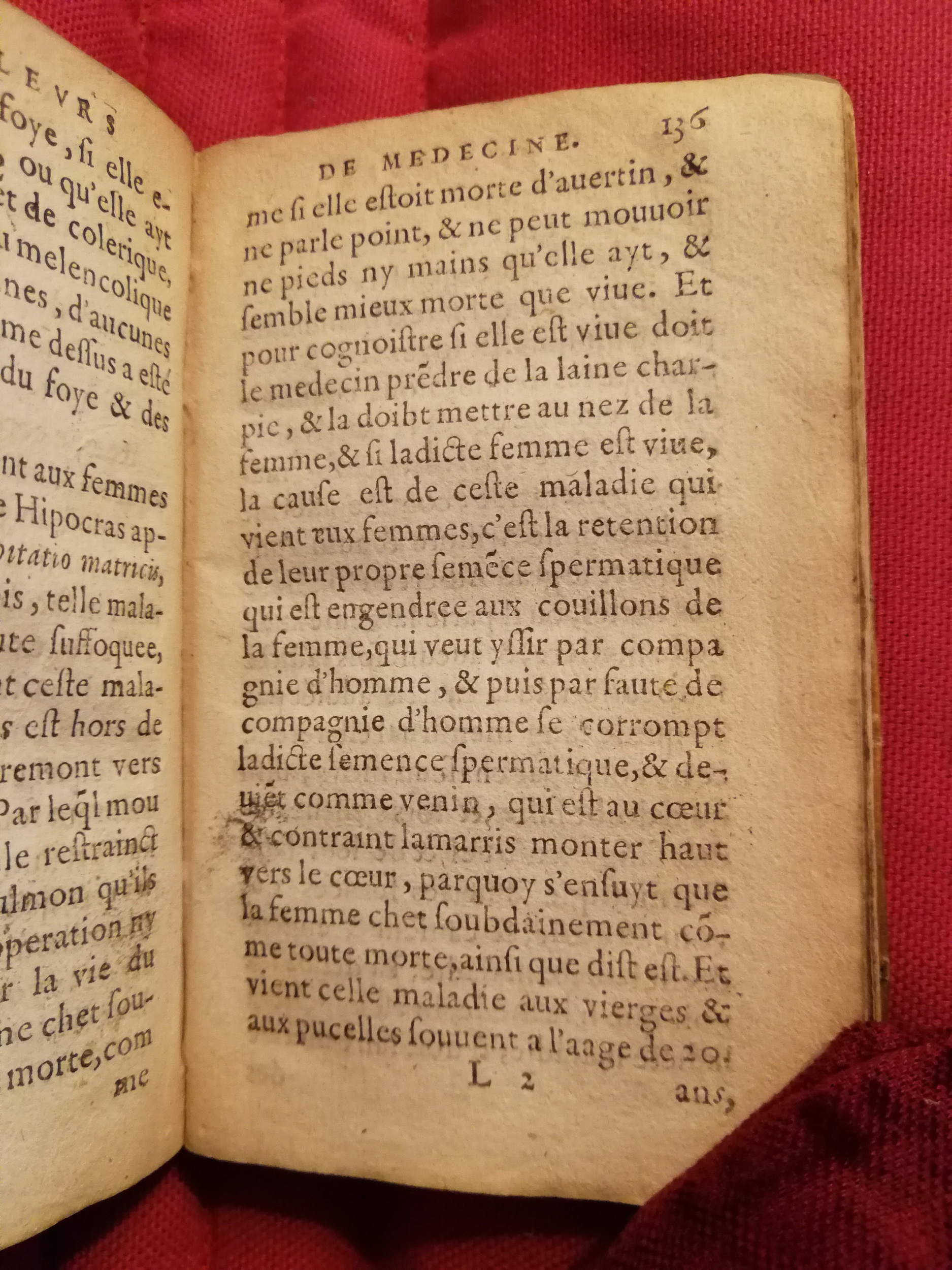 1586 - Benoît Rigaud - Trésor des fleurs et secrets de médecine - Sainte-Geneviève 1586 - Benoît Rigaud - Trésor des fleurs et secrets de médecine - Sainte-Geneviève