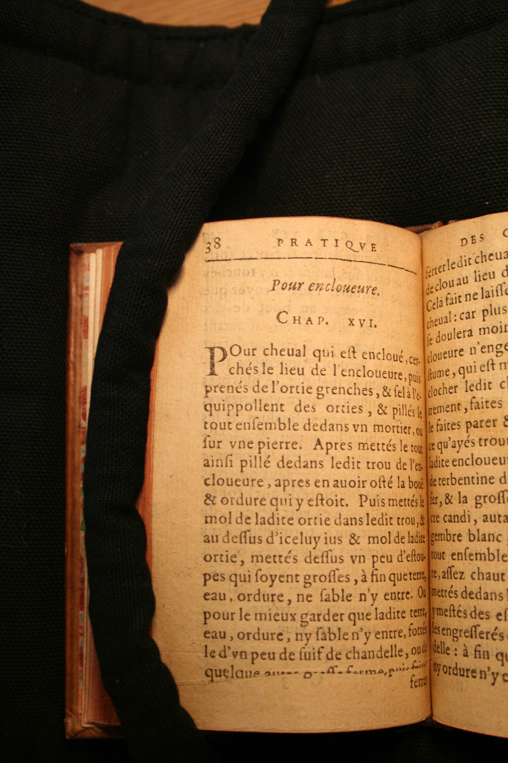 1591 - Pierre Chastaing et Benoît Rigaud - Trésor des bêtes chevalines - BM Bordeaux