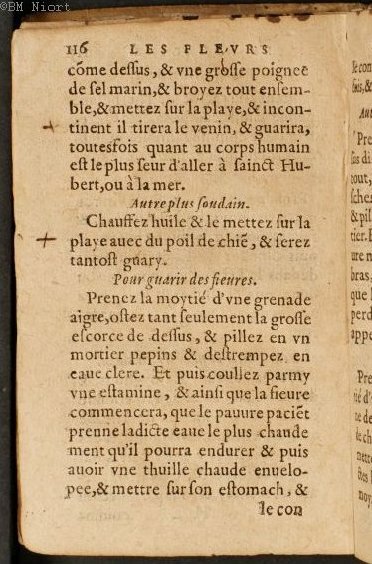 1586 - Benoît Rigaud - Trésor des fleurs et secrets de médecine - Université Paris Cité