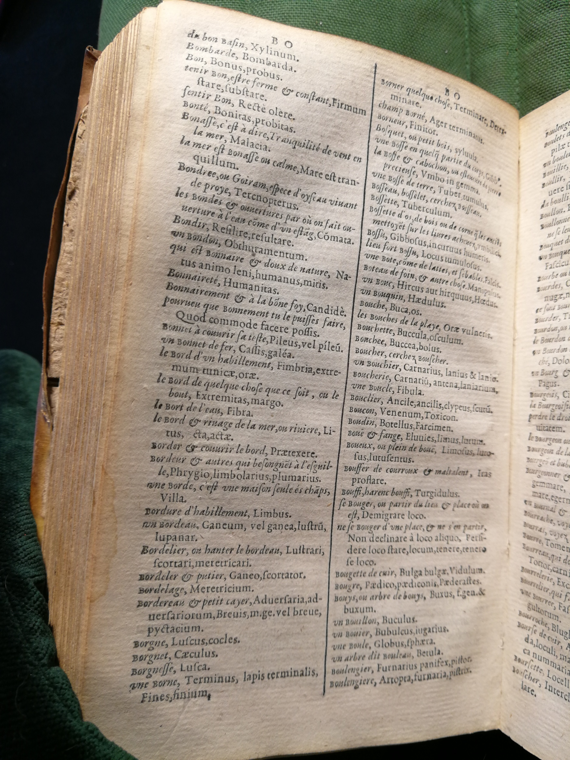 1597 - Martin le Mégissier - Trésor des mots et traits français - BnF