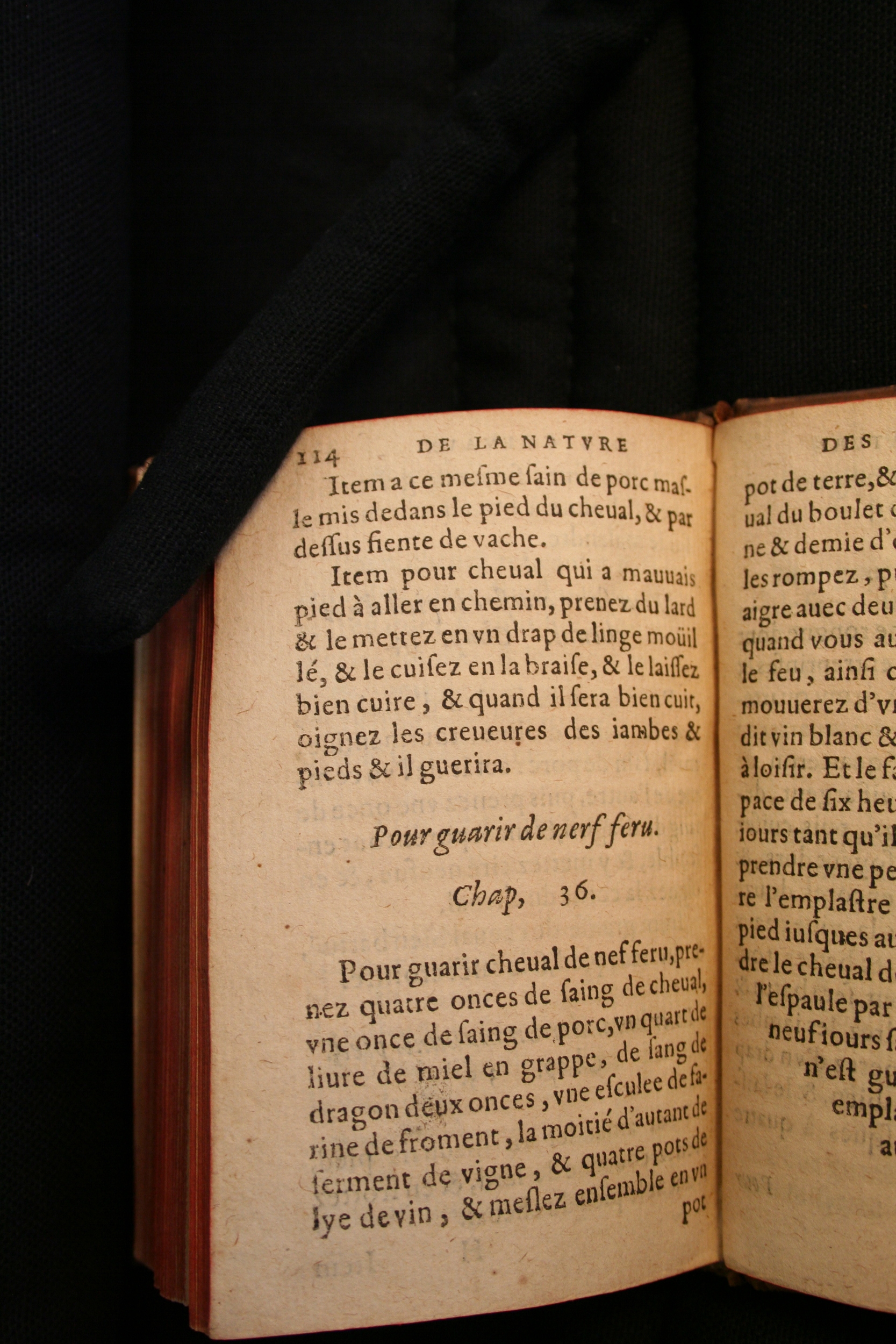 1591 - Pierre Chastaing et Benoît Rigaud - Trésor des bêtes chevalines - BM Bordeaux