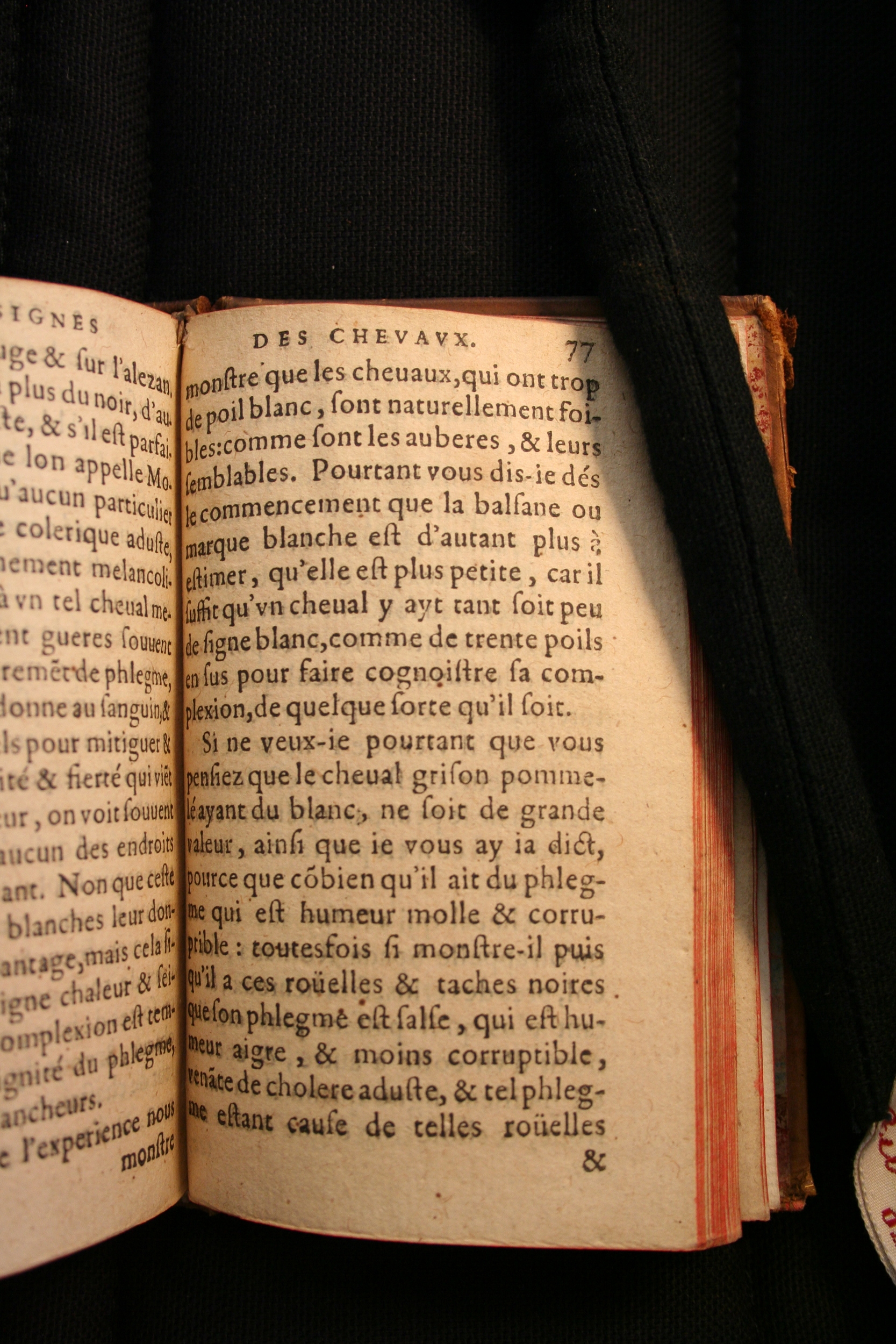 1591 - Pierre Chastaing et Benoît Rigaud - Trésor des bêtes chevalines - BM Bordeaux