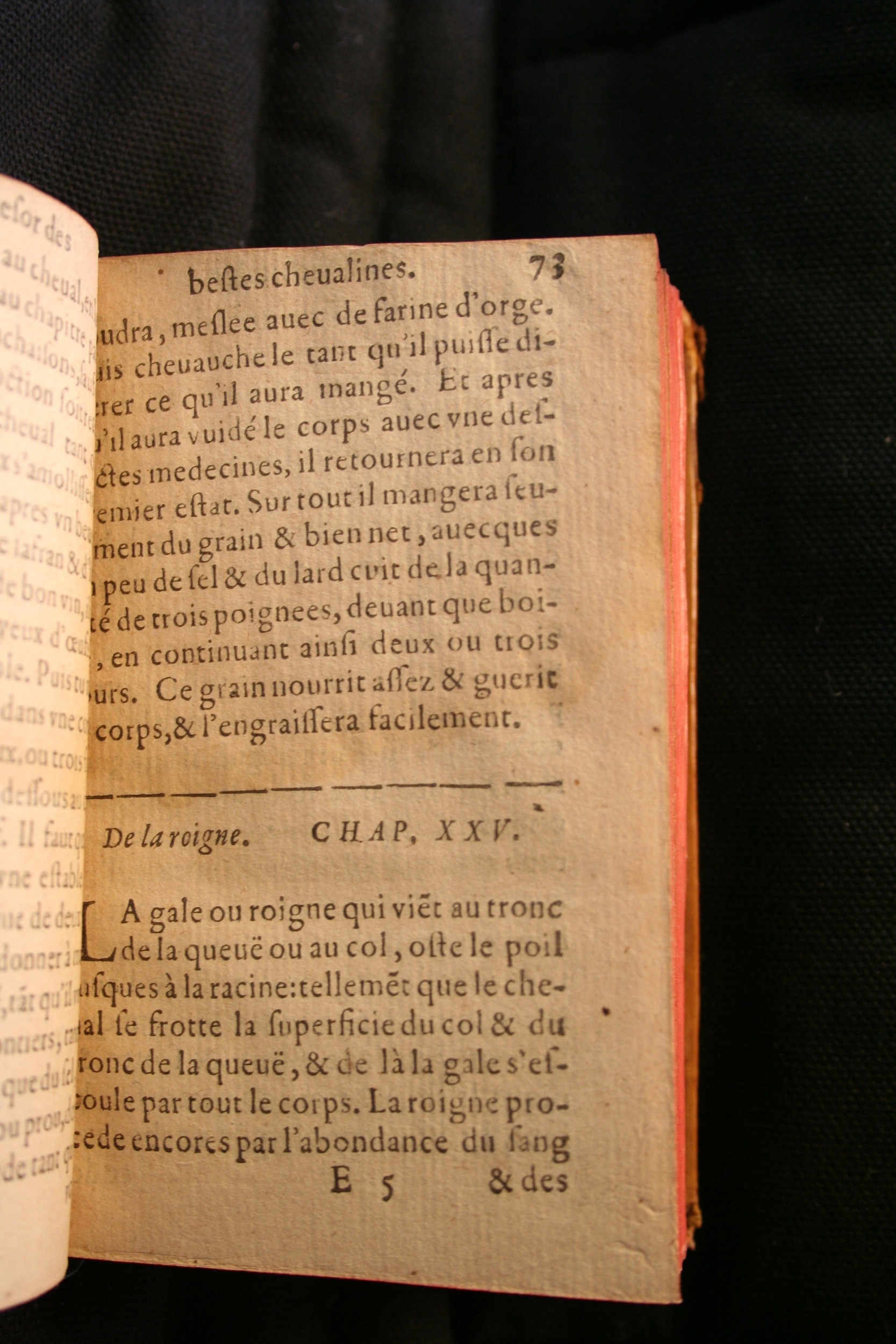 1591 - Pierre Chastaing et Benoît Rigaud - Trésor des bêtes chevalines - BM Bordeaux