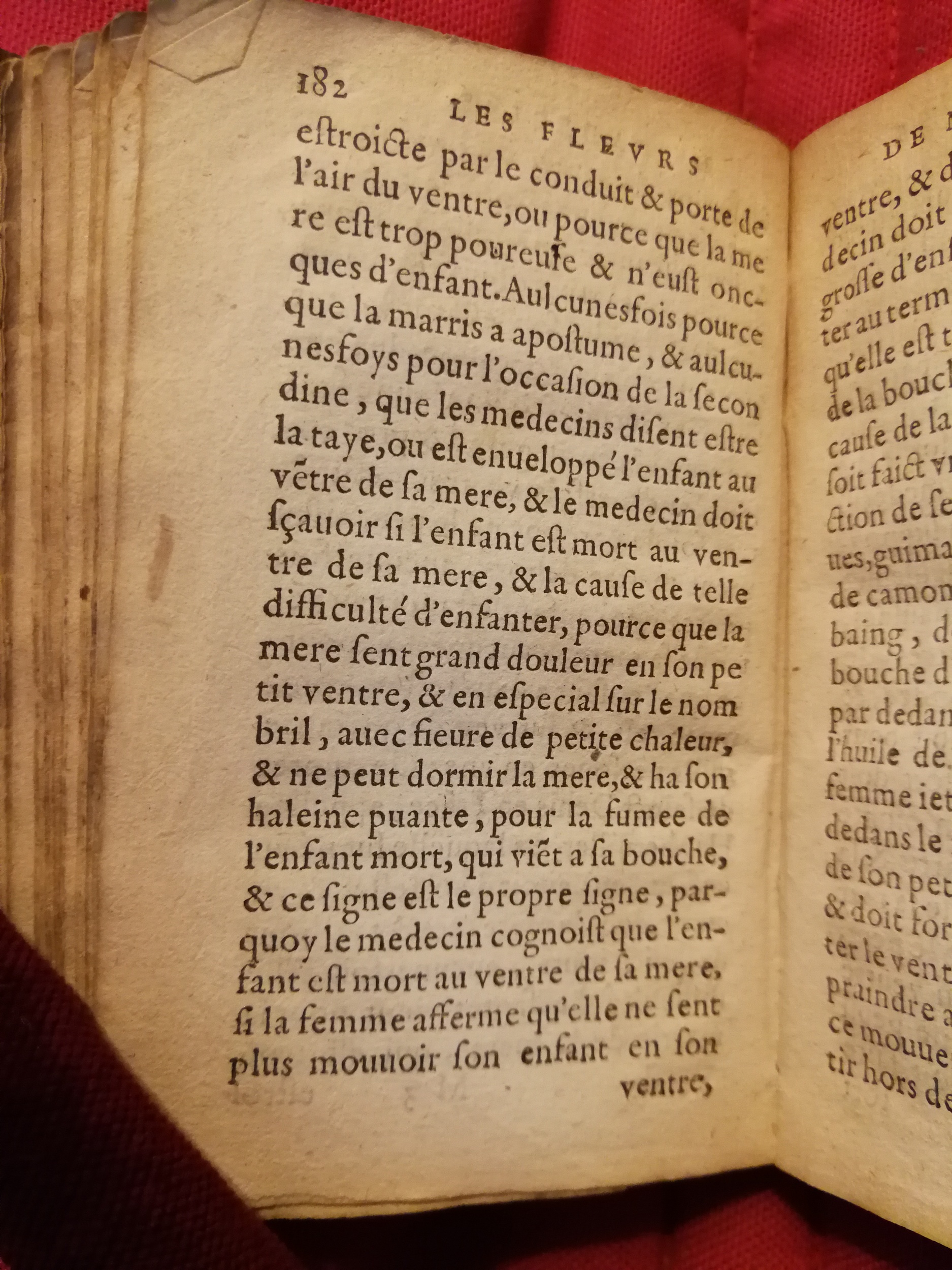 1586 - Benoît Rigaud - Trésor des fleurs et secrets de médecine - Sainte-Geneviève