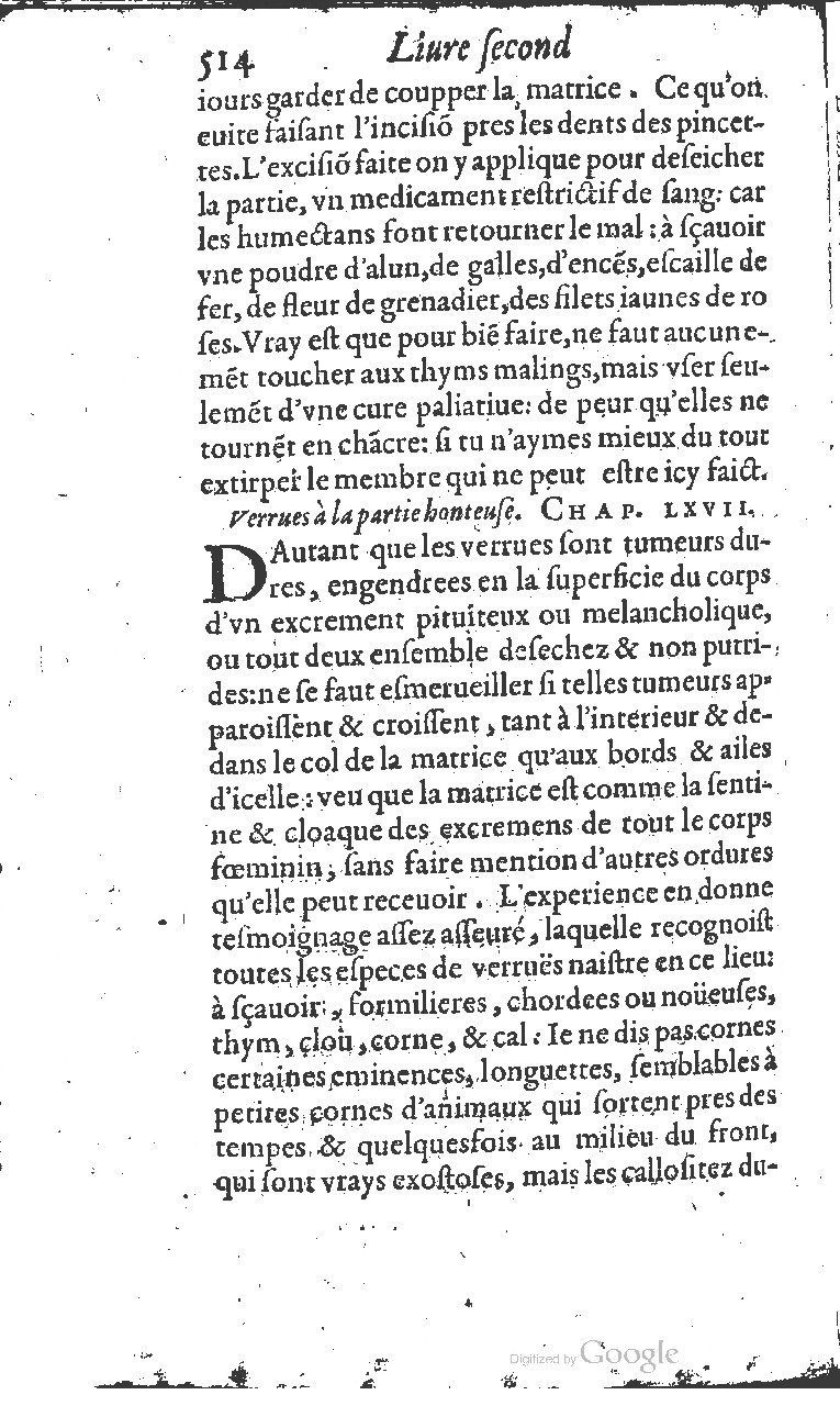 1617 - Jean Le Bouc - Trésor des remèdes secrets - BM Lyon