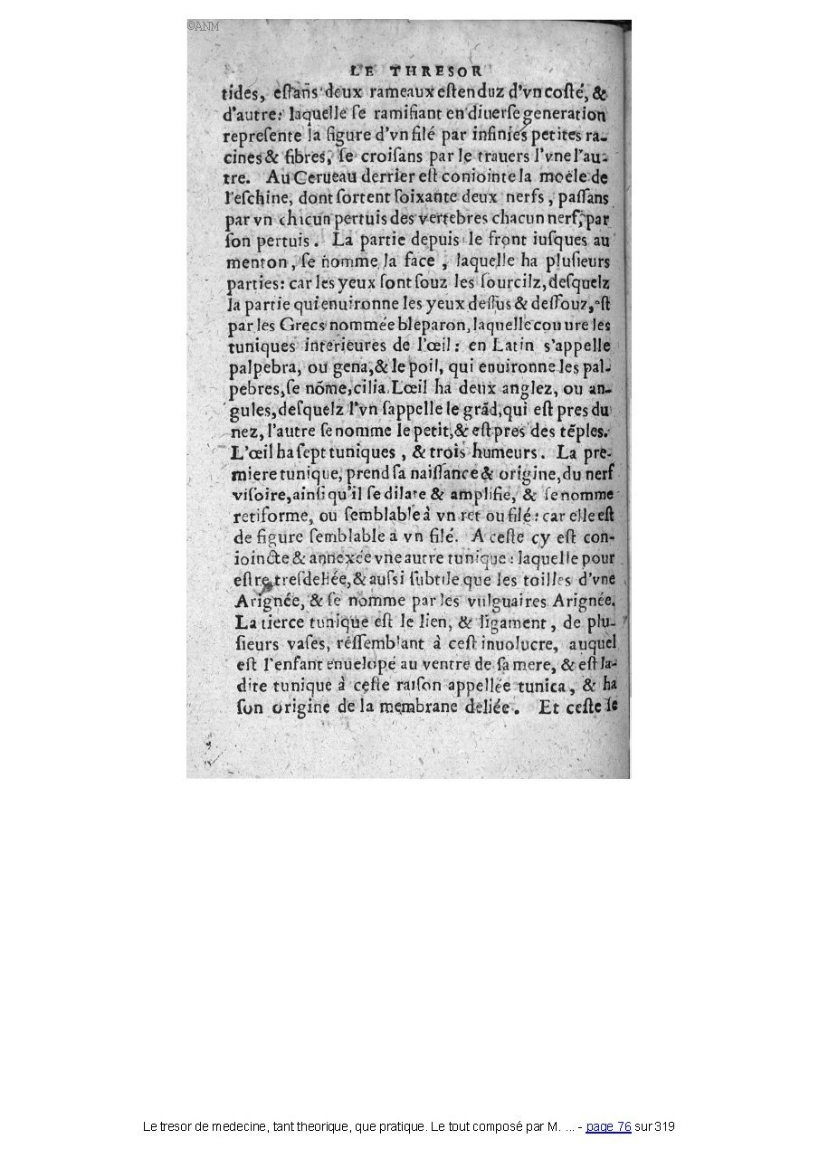 1560 - Pierre et Jan Moine - Trésor de médecine - Université Paris Cité