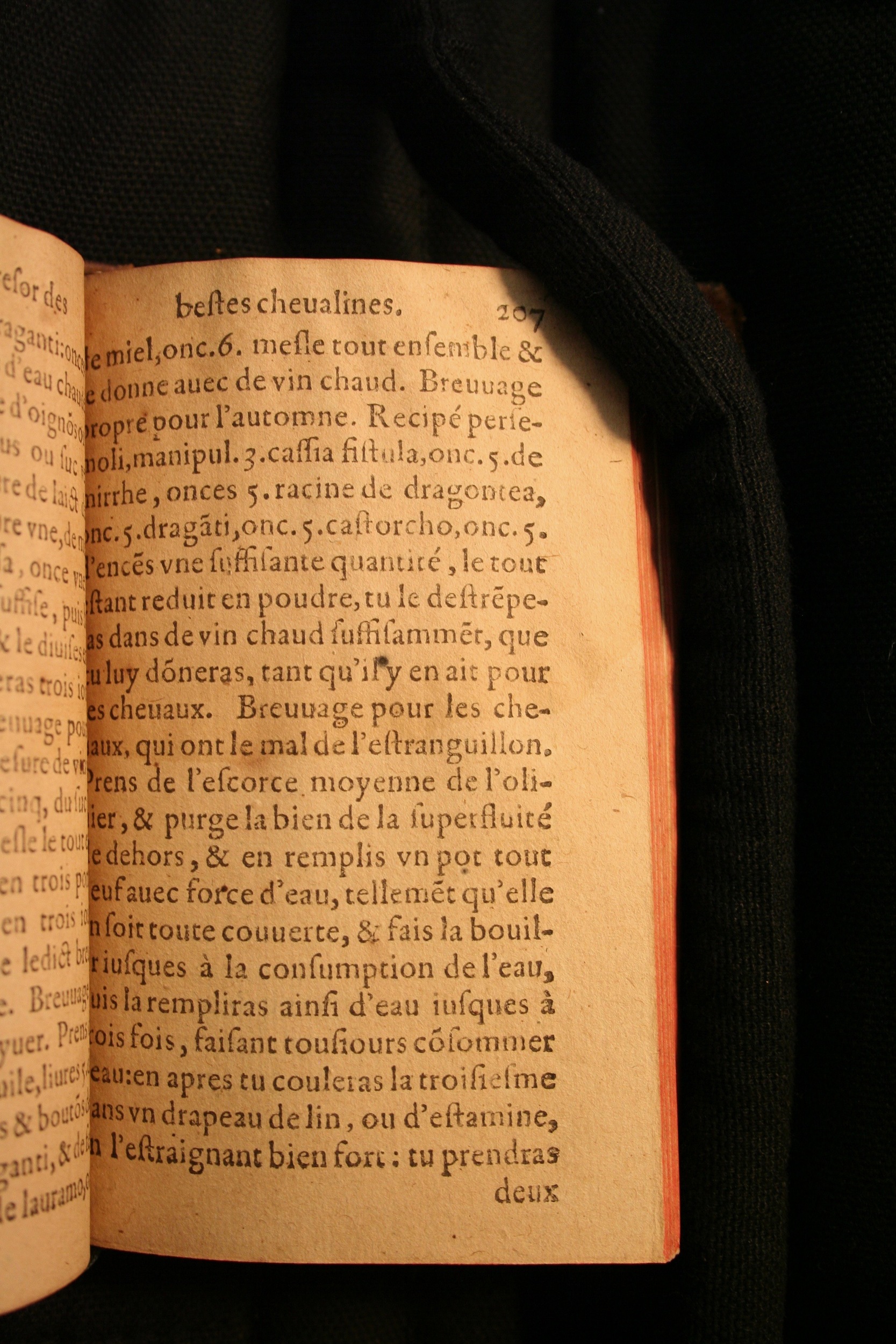 1591 - Pierre Chastaing et Benoît Rigaud - Trésor des bêtes chevalines - BM Bordeaux