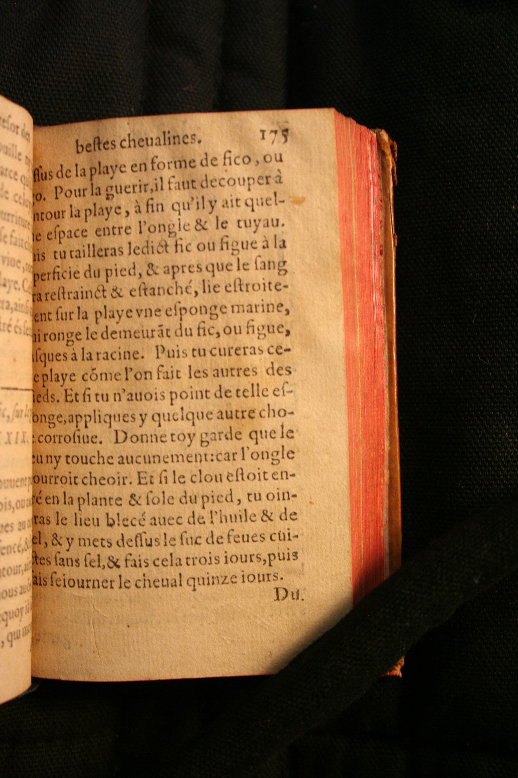 1591 - Pierre Chastaing et Benoît Rigaud - Trésor des bêtes chevalines - BM Bordeaux