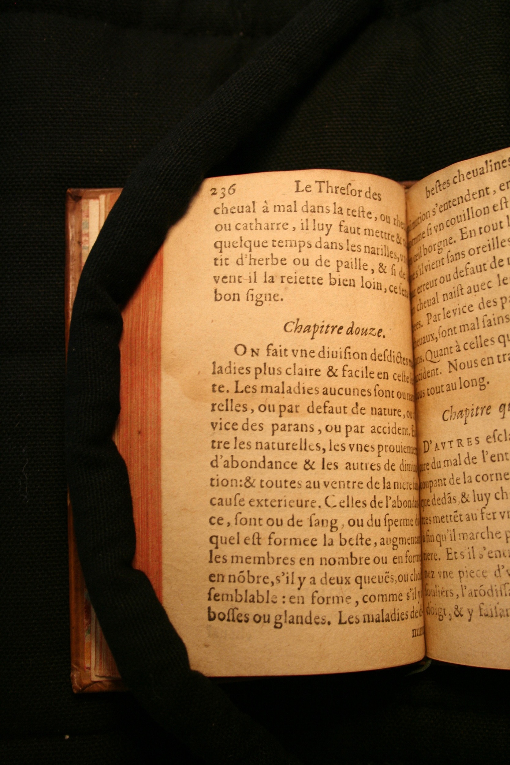 1591 - Pierre Chastaing et Benoît Rigaud - Trésor des bêtes chevalines - BM Bordeaux