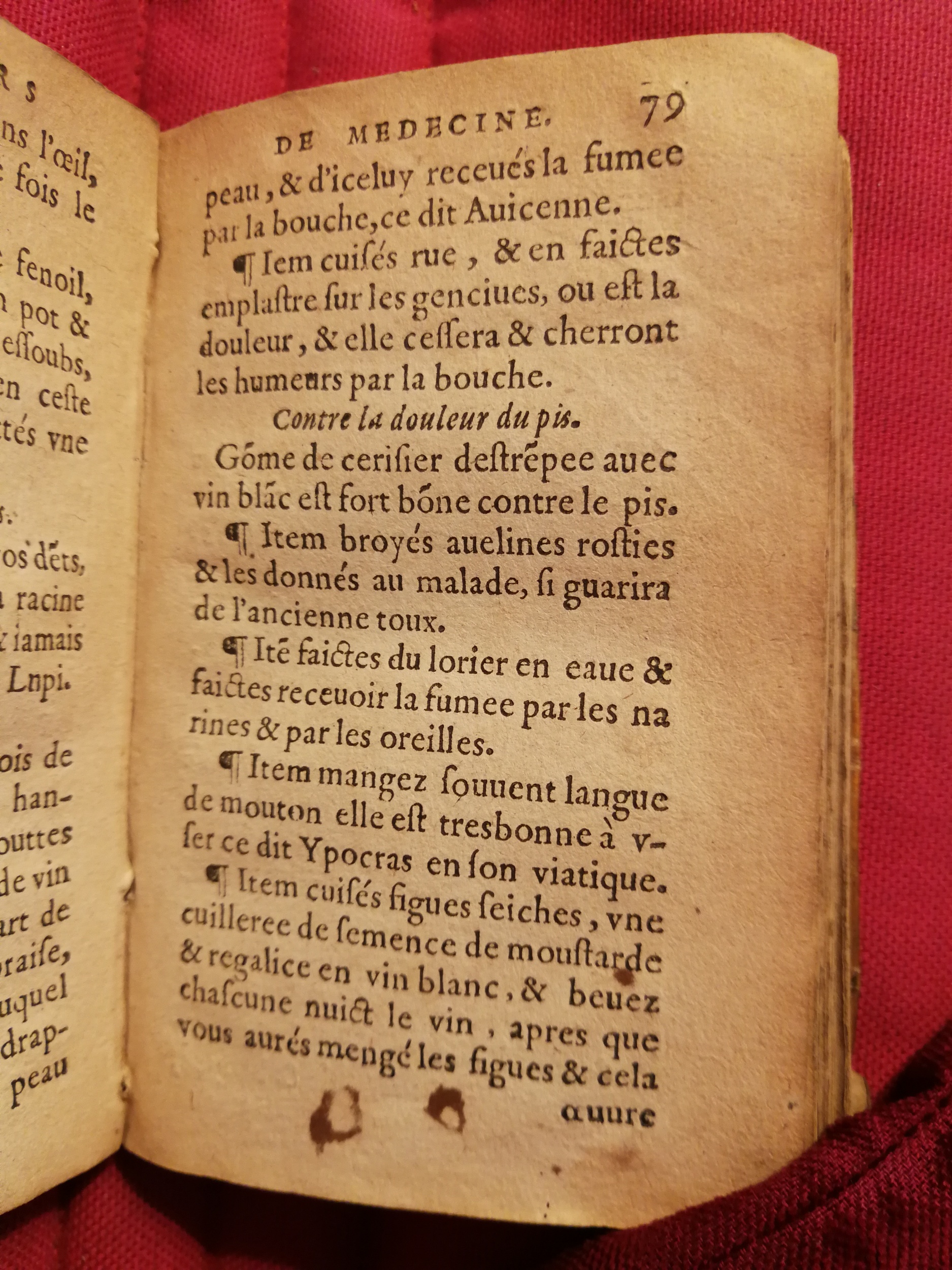 1586 - Benoît Rigaud - Trésor des fleurs et secrets de médecine - Sainte-Geneviève