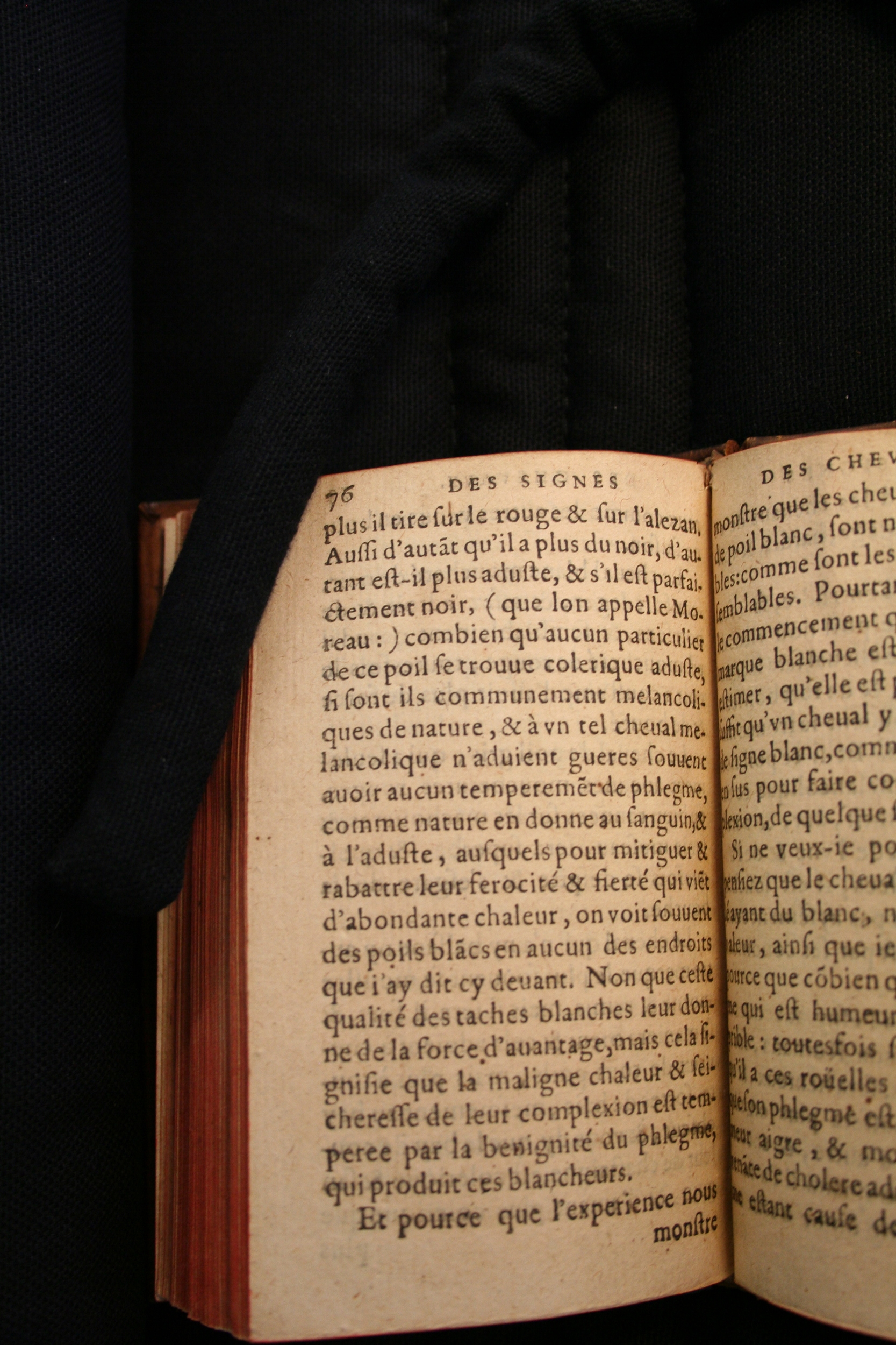 1591 - Pierre Chastaing et Benoît Rigaud - Trésor des bêtes chevalines - BM Bordeaux