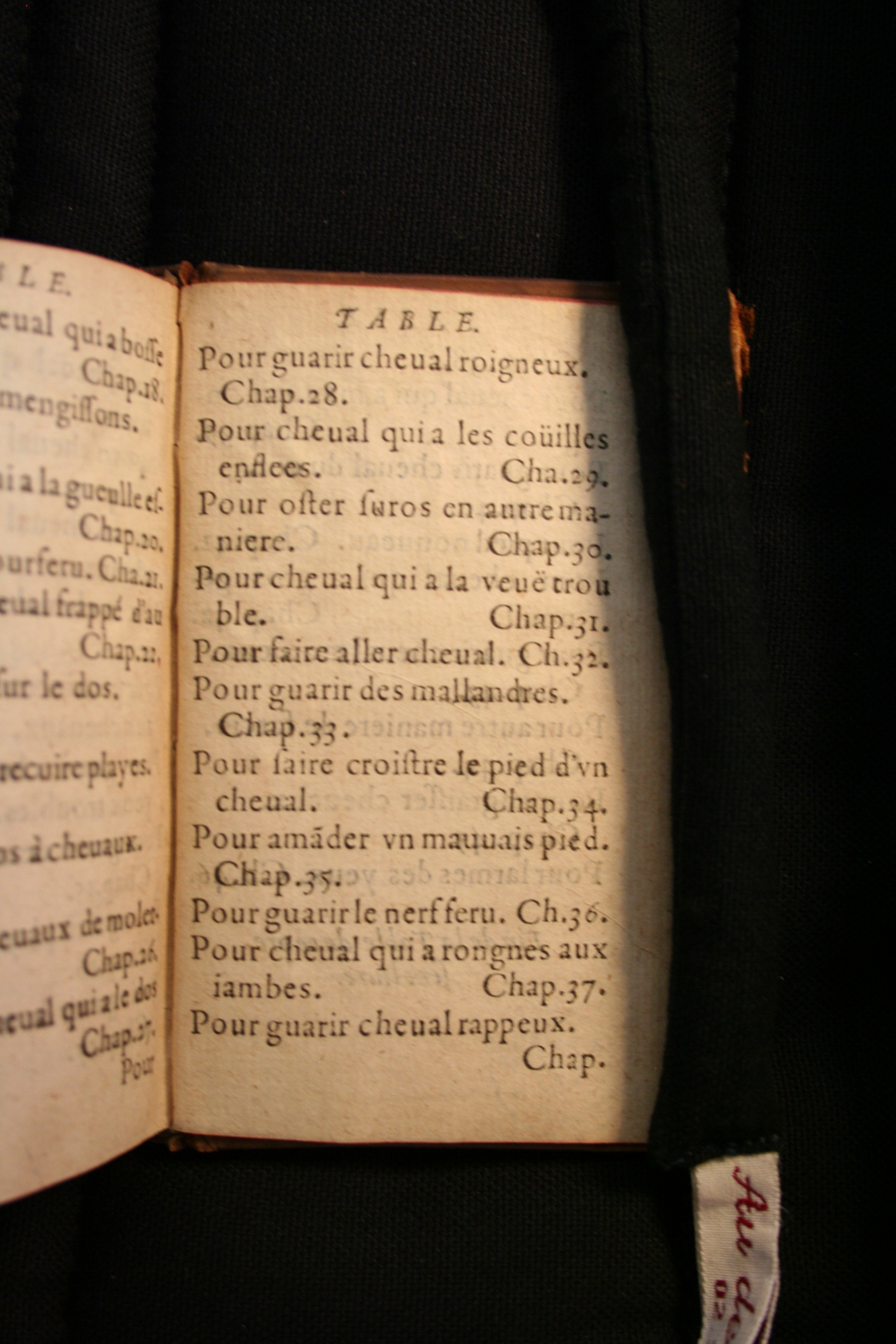 1591 - Pierre Chastaing et Benoît Rigaud - Trésor des bêtes chevalines - BM Bordeaux