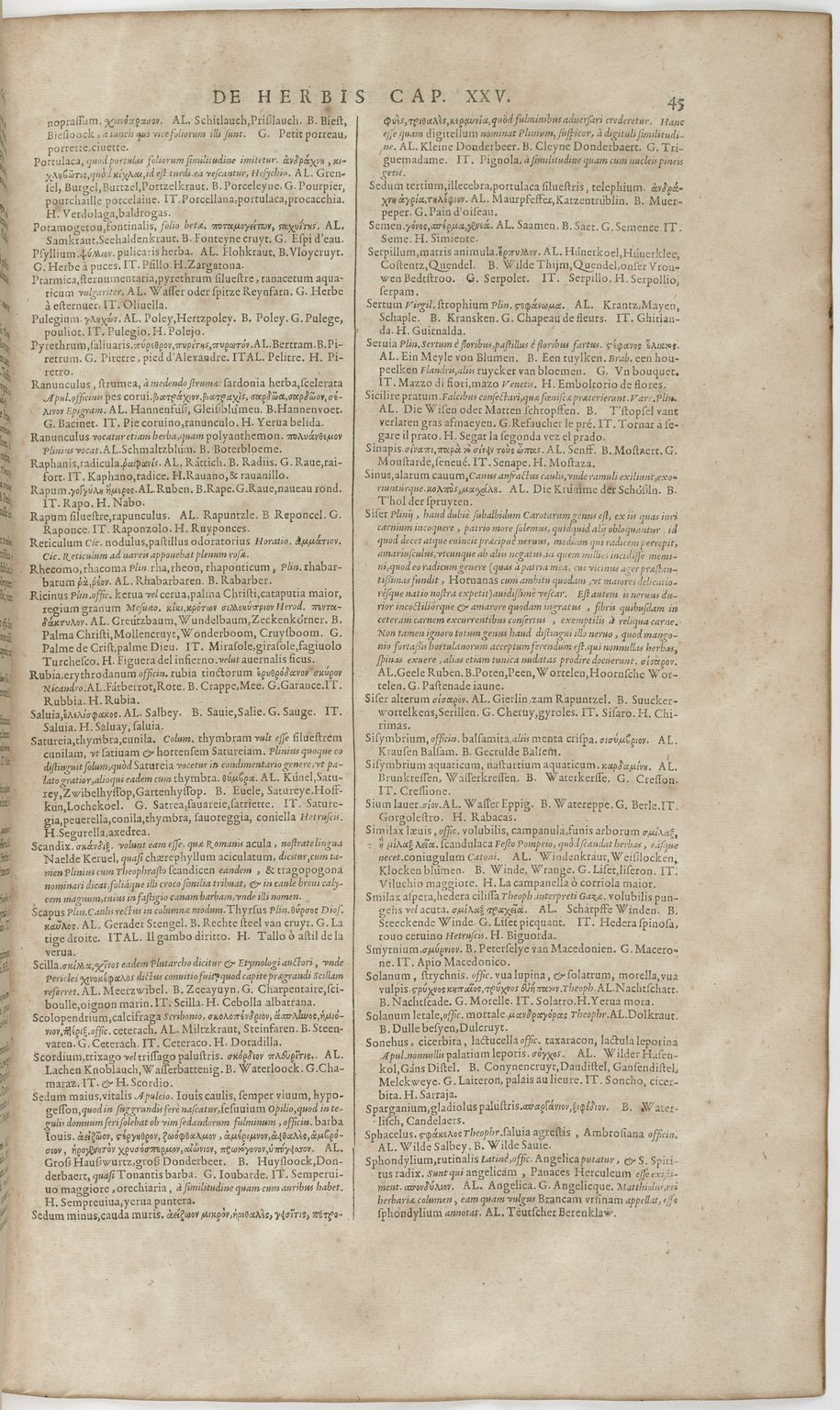 1606 - David Douceur - Trésor de la langue française - BnF 1606 - David Douceur - Trésor de la langue française - BnF
