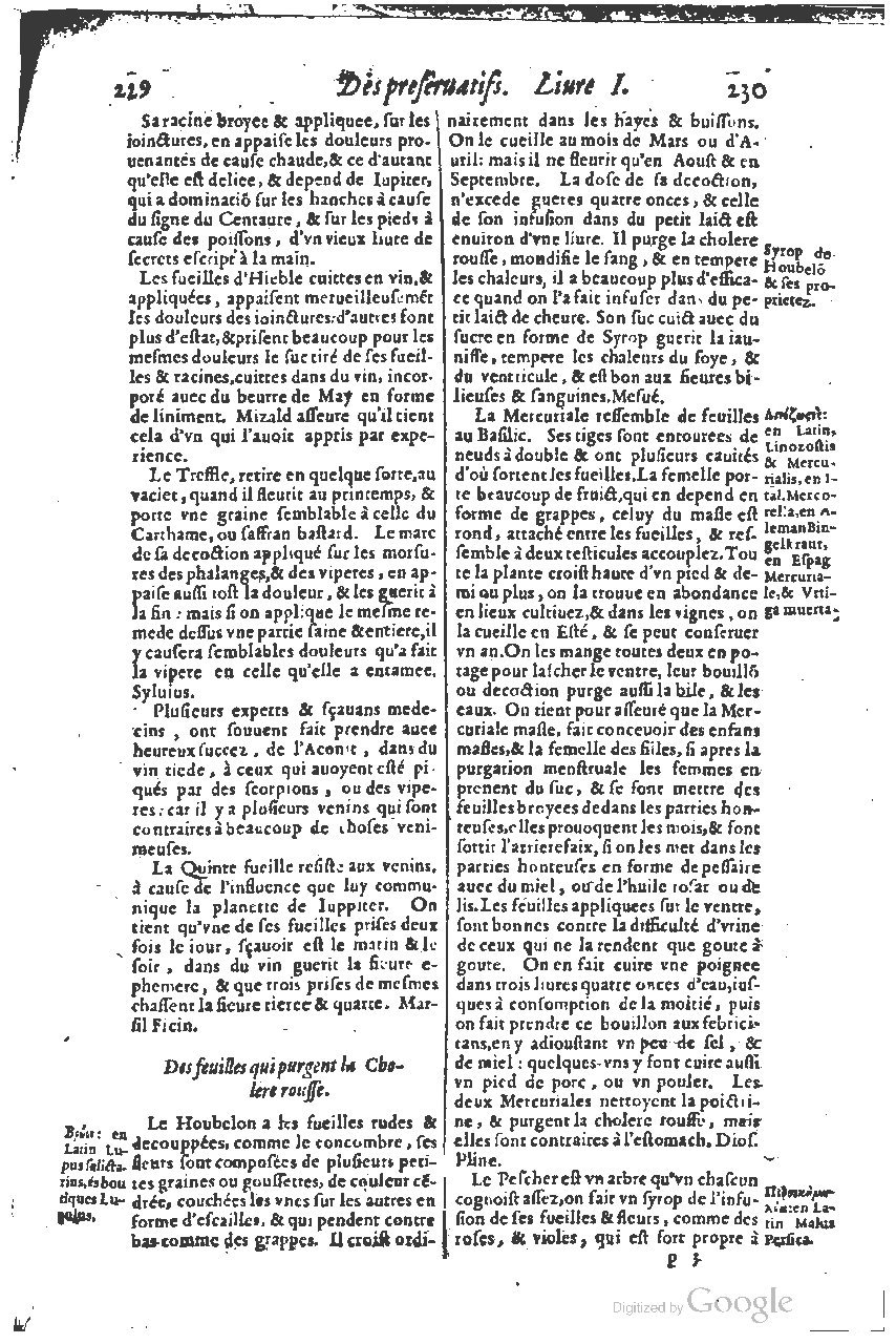 1616 - Étienne Gamonet - Grand trésor ou dispensaire - BSB Munich