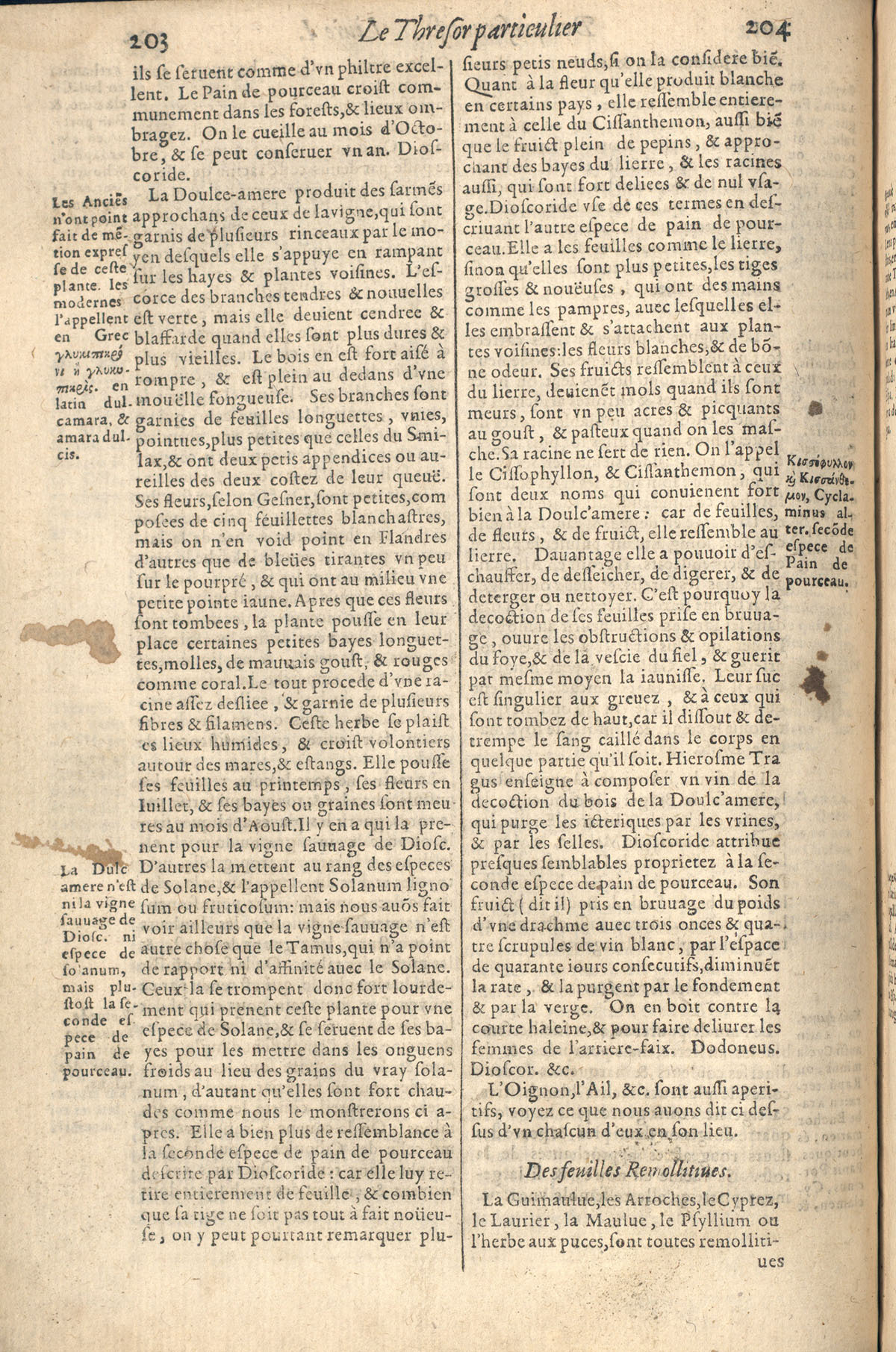 1610 - Étienne Gamonet - Grand Trésor ou dispensaire - CESR Tours