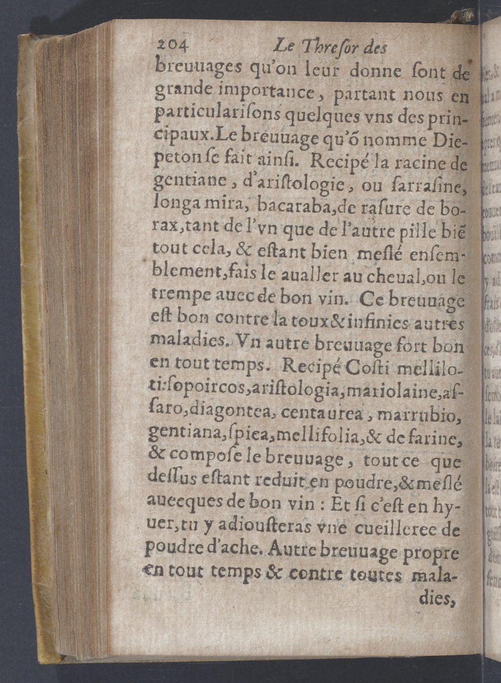 1619 - Pierre Rigaud - Trésor des bêtes chevalines - BnF