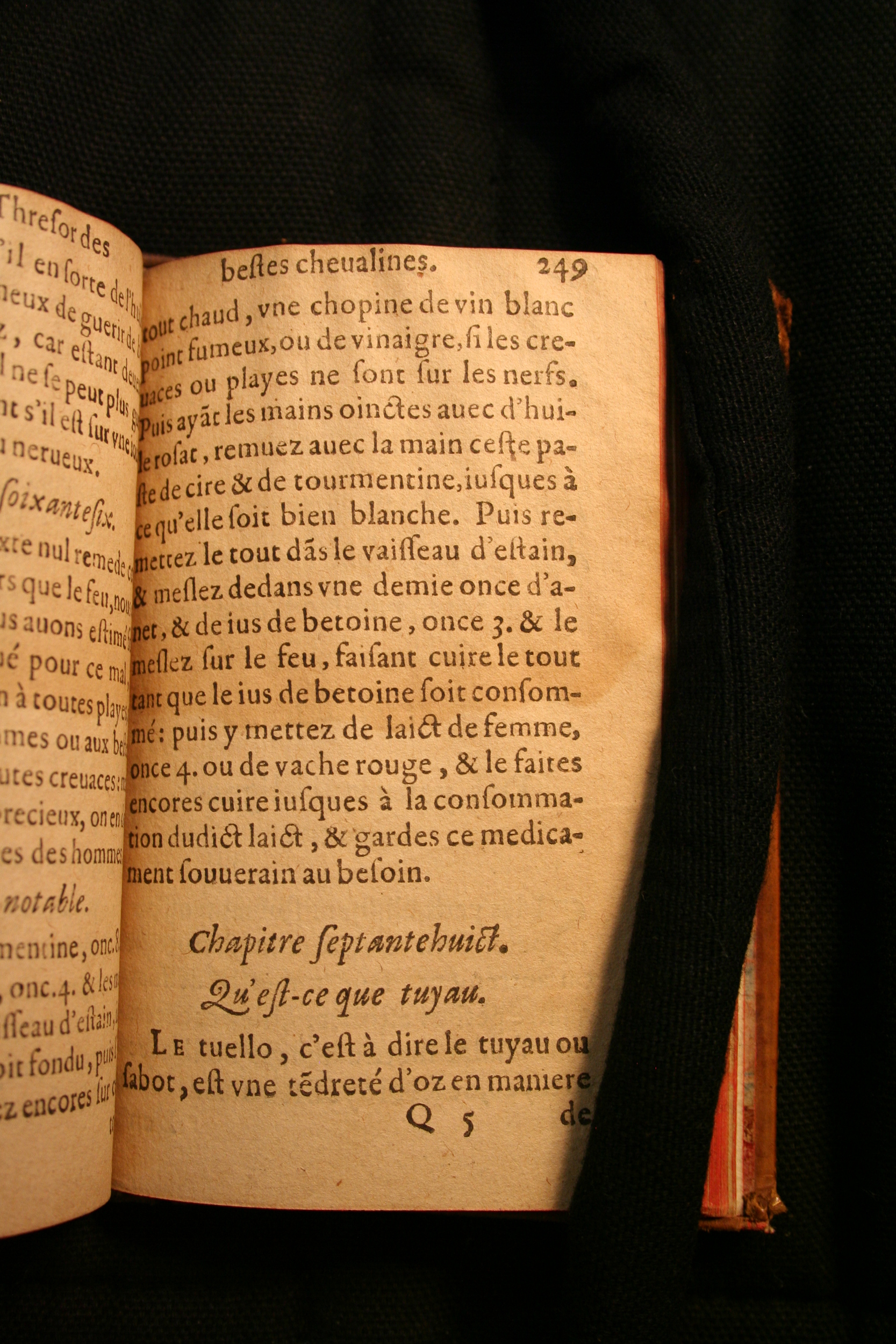 1591 - Pierre Chastaing et Benoît Rigaud - Trésor des bêtes chevalines - BM Bordeaux