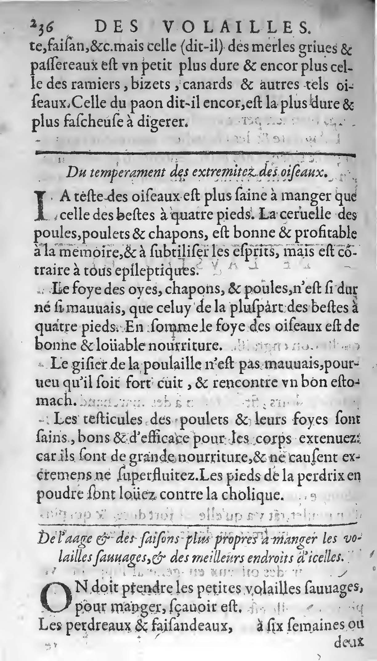 1607 - Étienne Servain et Jean Antoine Huguetan - Trésor de santé ou ménage de la vie humaine - BIU Santé
