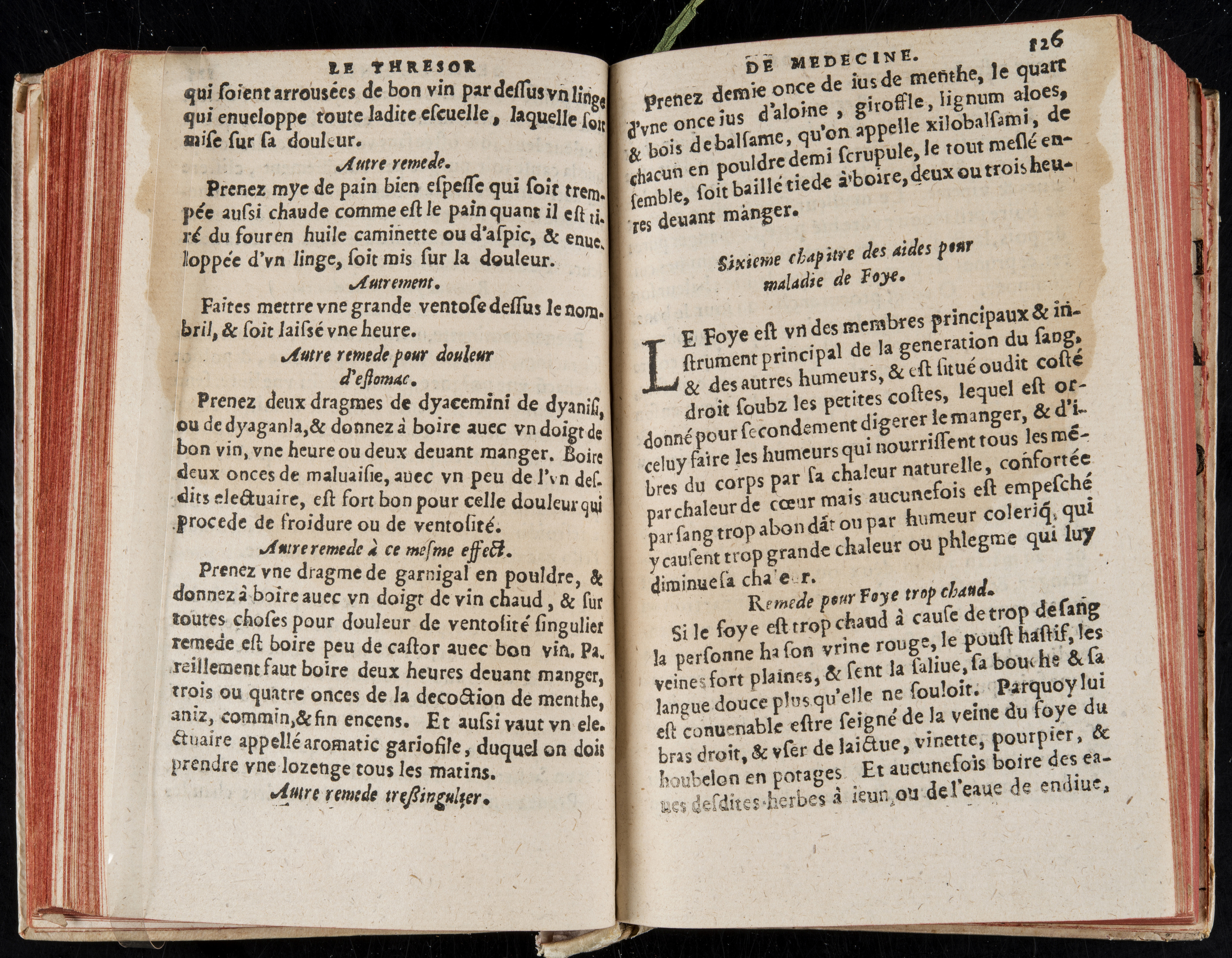 1560 - Nicolas Pelletier - Trésor de médecine - BM Poitiers