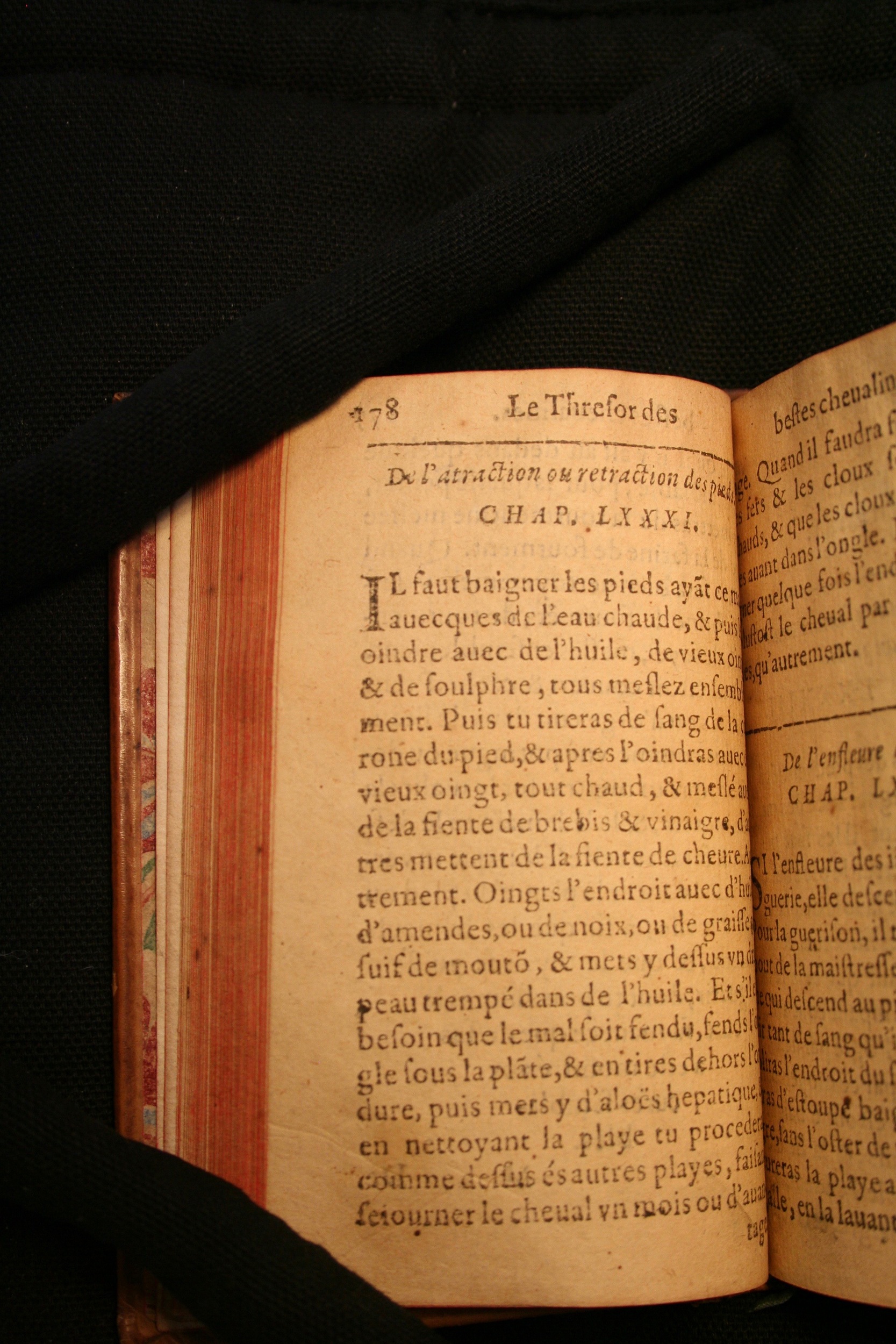 1591 - Pierre Chastaing et Benoît Rigaud - Trésor des bêtes chevalines - BM Bordeaux