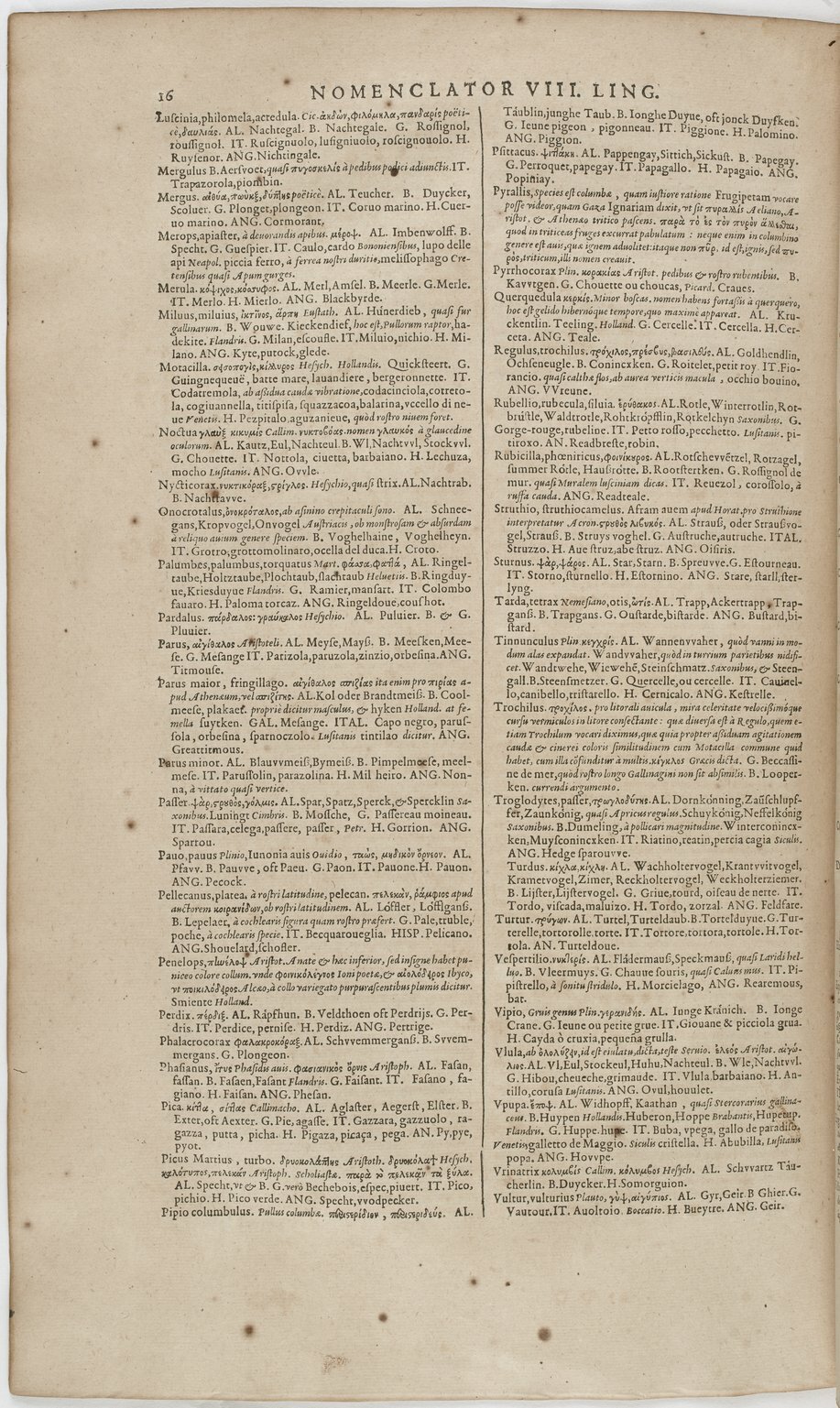1606 - David Douceur - Trésor de la langue française - BnF 1606 - David Douceur - Trésor de la langue française - BnF