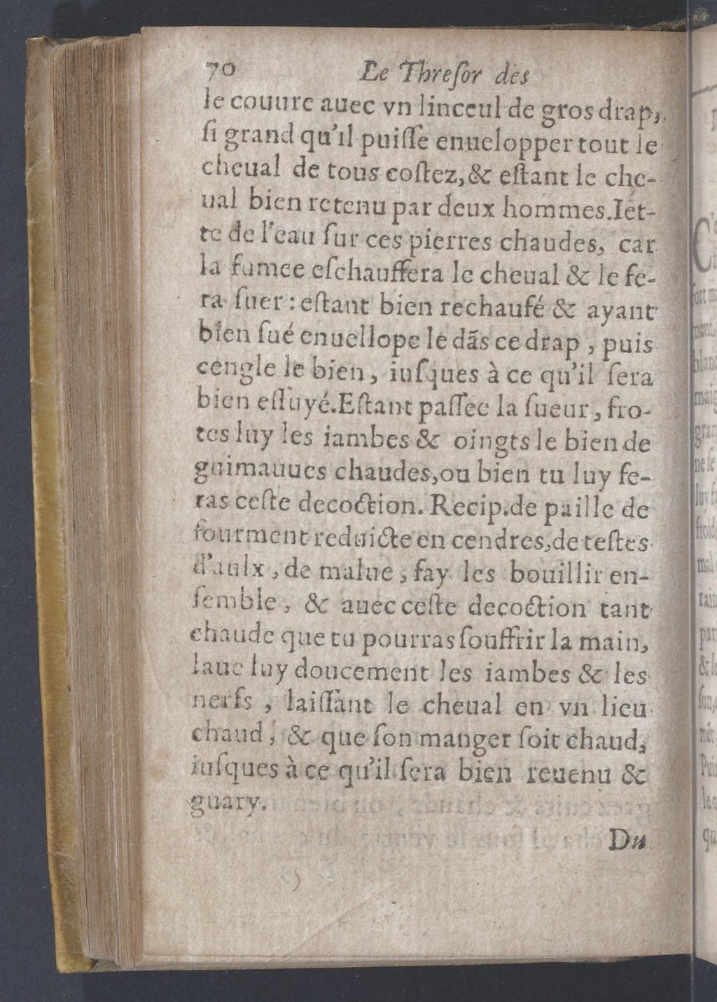 1619 - Pierre Rigaud - Trésor des bêtes chevalines - BnF 1619 - Pierre Rigaud - Trésor des bêtes chevalines - BnF