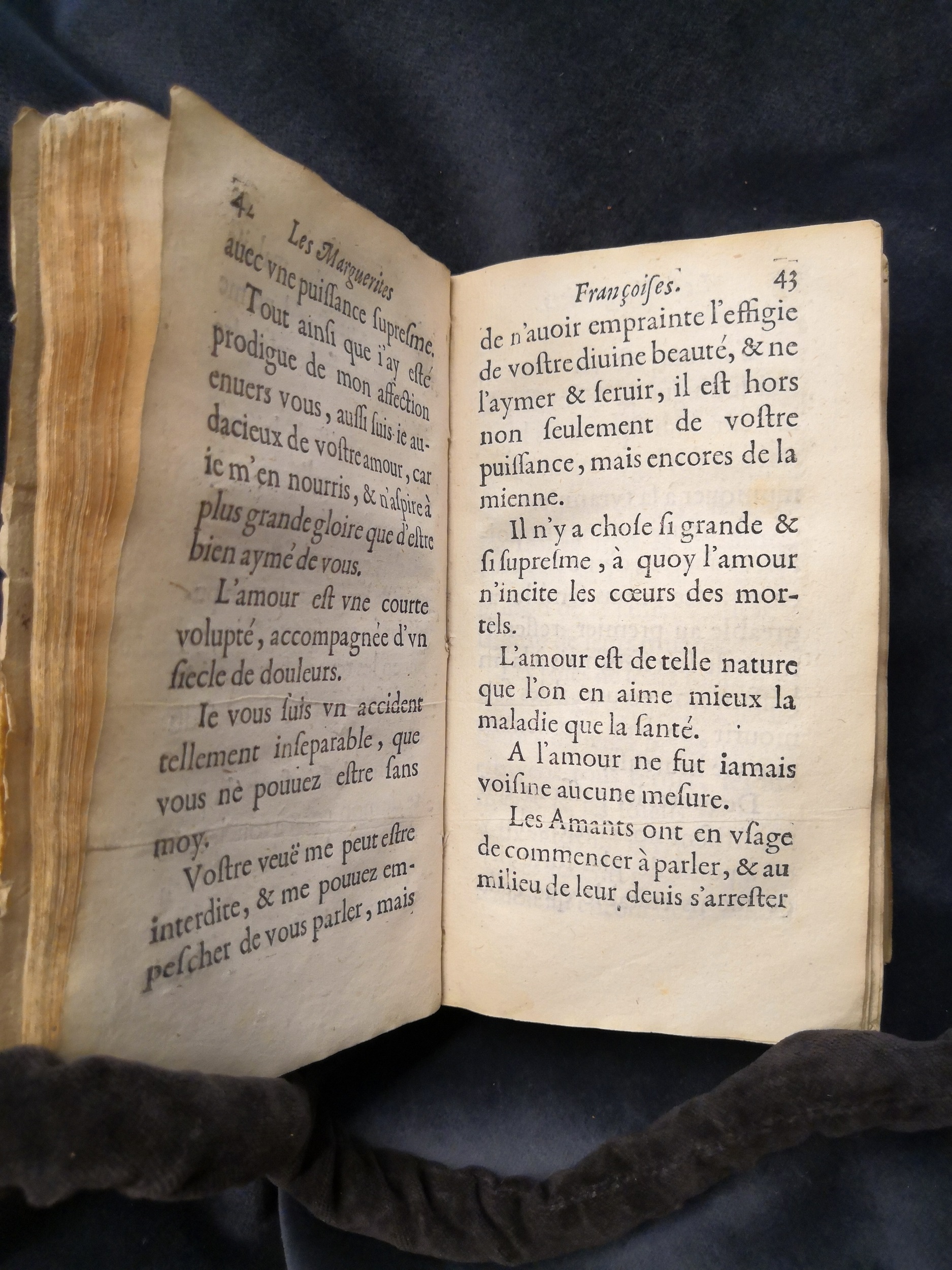 1609 - Théodore Reinsart - Trésor des fleurs du bien dire - Anvers Musée Plantin-Moretus