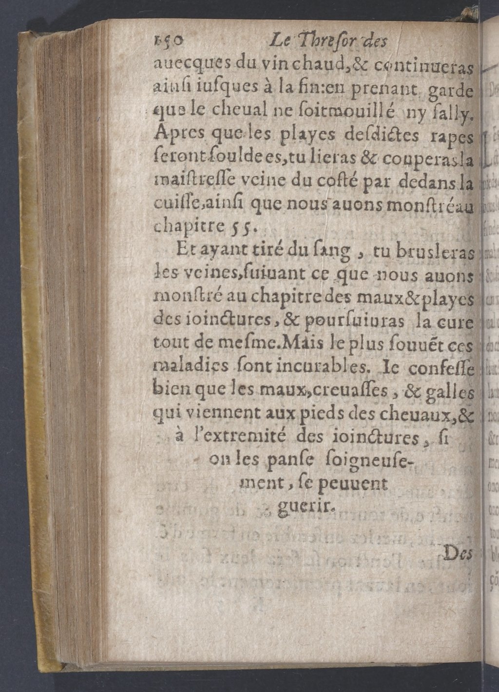 1619 - Pierre Rigaud - Trésor des bêtes chevalines - BnF 1619 - Pierre Rigaud - Trésor des bêtes chevalines - BnF