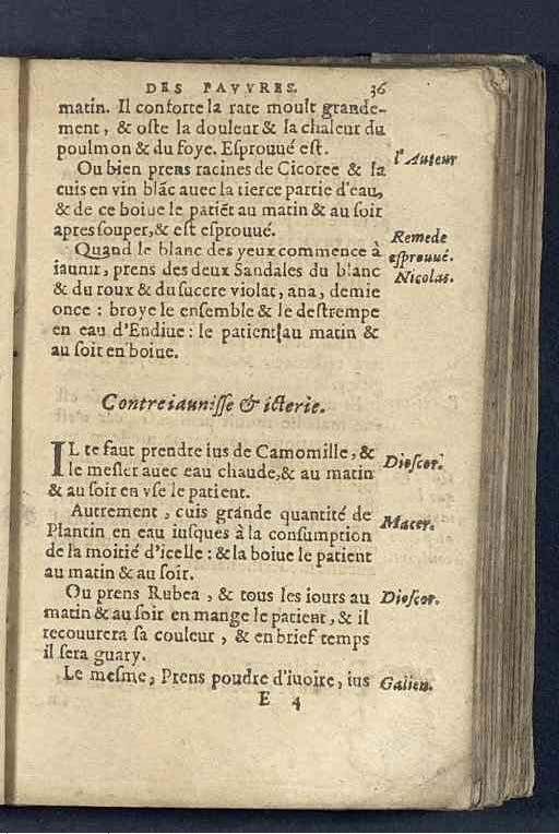 1590 - Benoît Rigaud - Trésor des pauvres - Mucem 1590 - Benoît Rigaud - Trésor des pauvres - Mucem