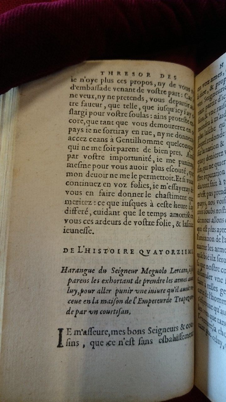 1581 - Pierre Le Voirier et Gervais Mallot - Trésor des histoires tragiques - BnF Richelieu 1581 - Pierre Le Voirier et Gervais Mallot - Trésor des histoires tragiques - BnF Richelieu