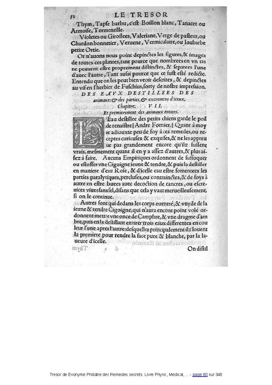 1555 - Balthazar Arnoullet - Trésor d’Évonyme Philiatre - Université Paris Cité
