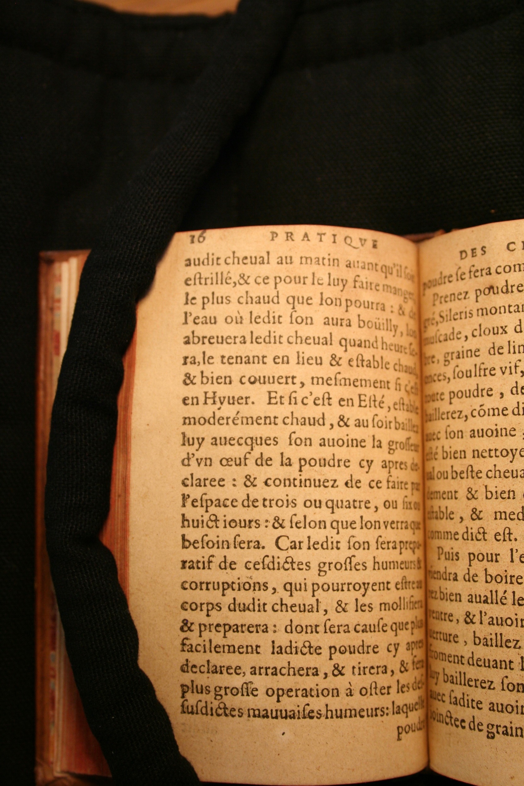 1591 - Pierre Chastaing et Benoît Rigaud - Trésor des bêtes chevalines - BM Bordeaux