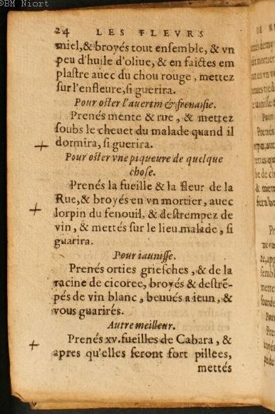 1586 - Benoît Rigaud - Trésor des fleurs et secrets de médecine - Université Paris Cité 1586 - Benoît Rigaud - Trésor des fleurs et secrets de médecine - Université Paris Cité