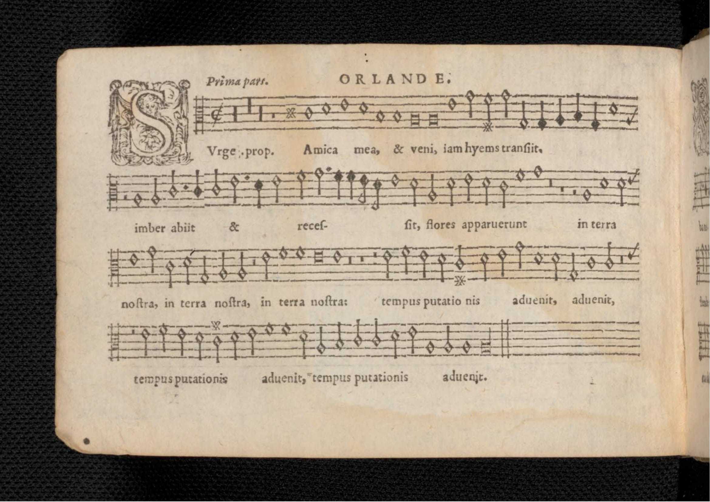 1576_Lassus_Tenor-166.jpg