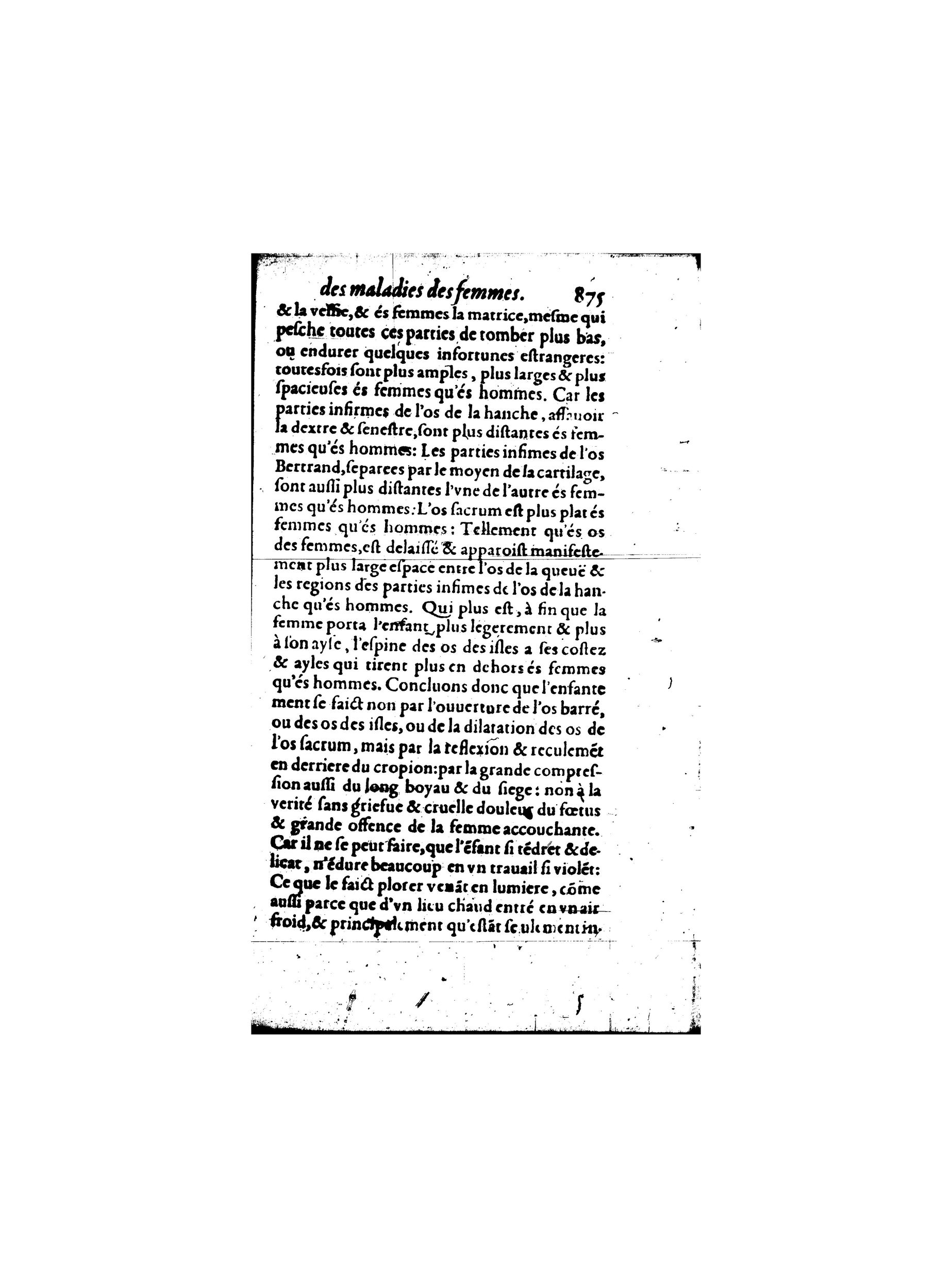 1587 - Jacques du Puis - Trésor des remèdes secrets pour les maladies des femmes - BnF 1587 - Jacques du Puis - Trésor des remèdes secrets pour les maladies des femmes - BnF