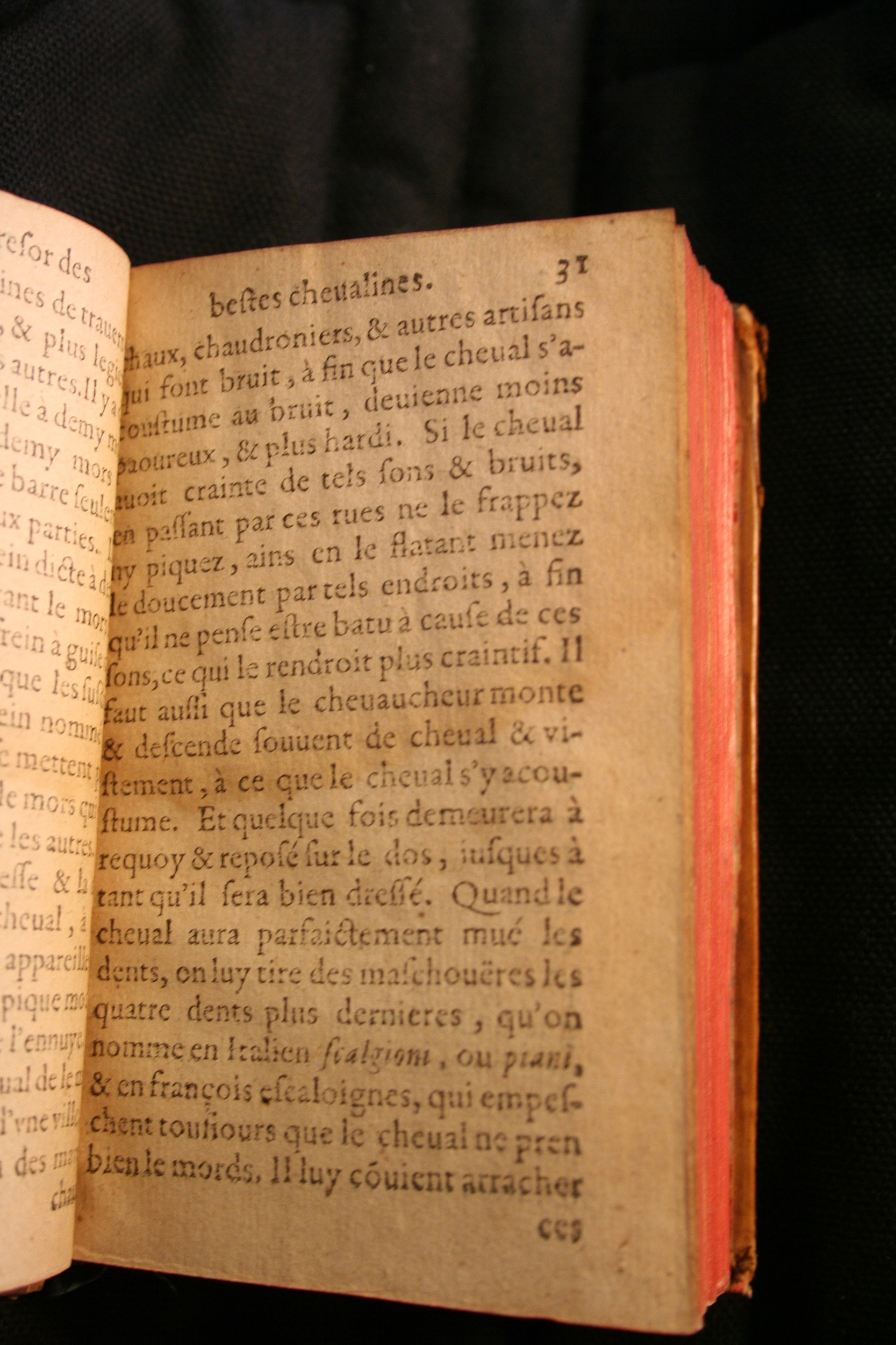1591 - Pierre Chastaing et Benoît Rigaud - Trésor des bêtes chevalines - BM Bordeaux