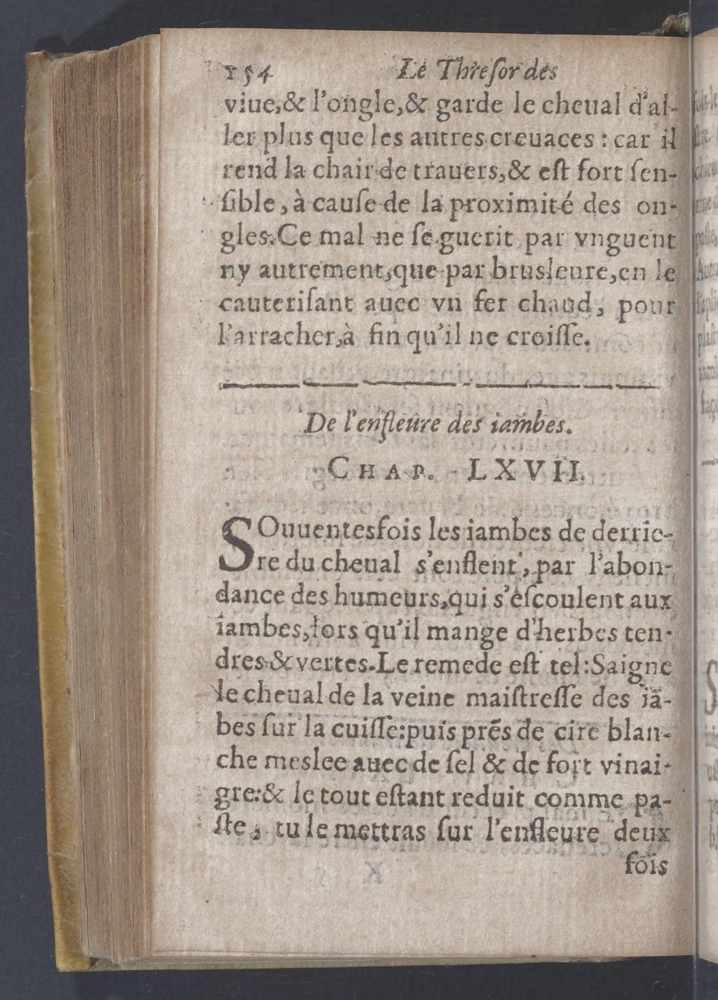 1619 - Pierre Rigaud - Trésor des bêtes chevalines - BnF 1619 - Pierre Rigaud - Trésor des bêtes chevalines - BnF