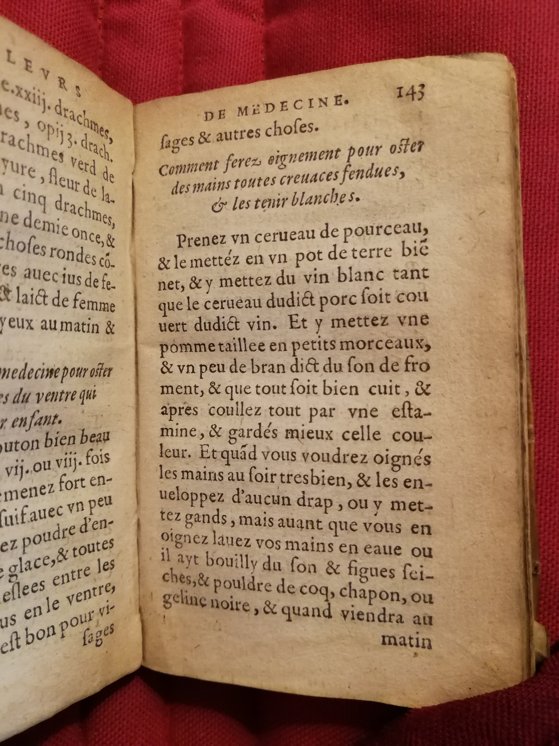1586 - Benoît Rigaud - Trésor des fleurs et secrets de médecine - Sainte-Geneviève
