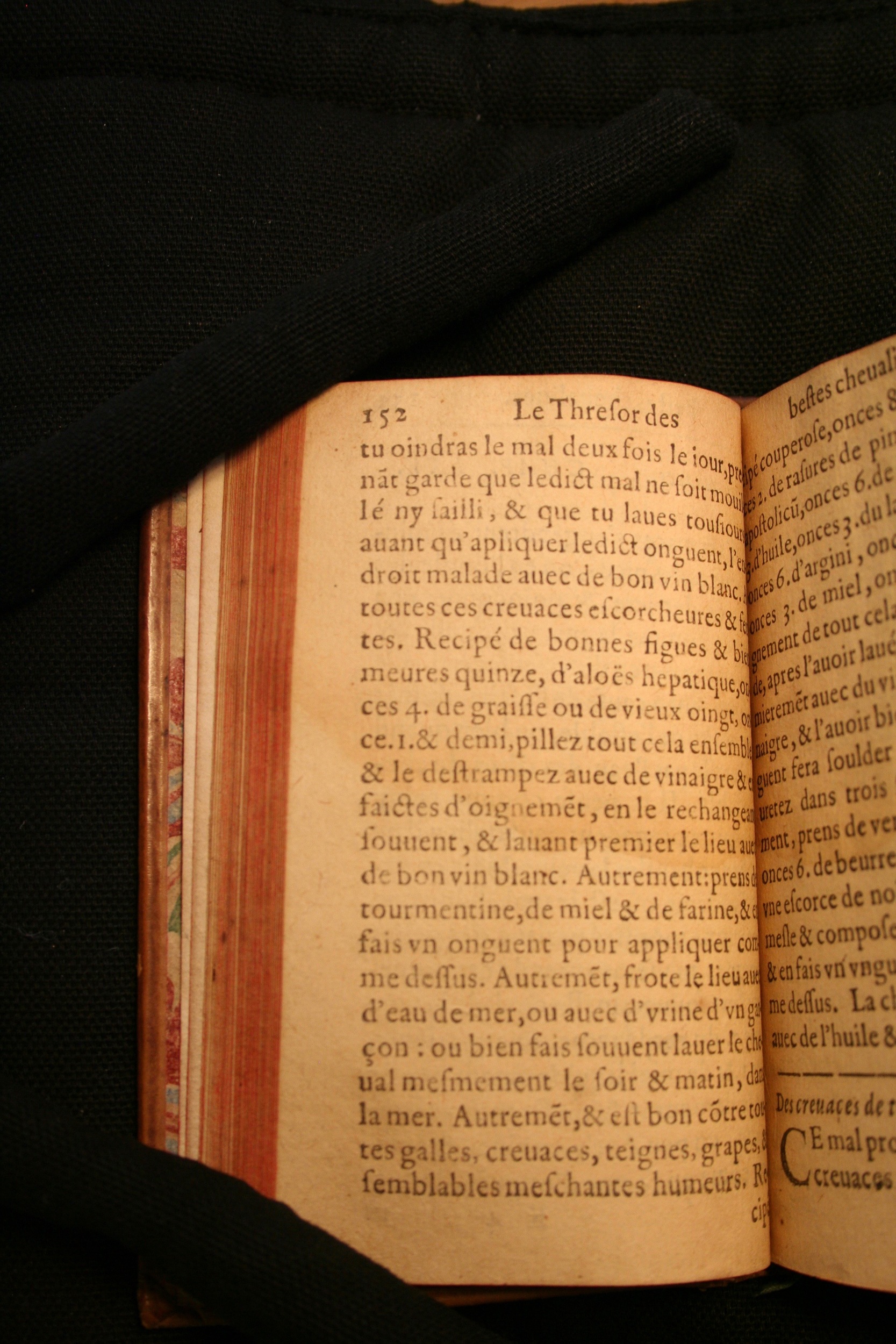 1591 - Pierre Chastaing et Benoît Rigaud - Trésor des bêtes chevalines - BM Bordeaux