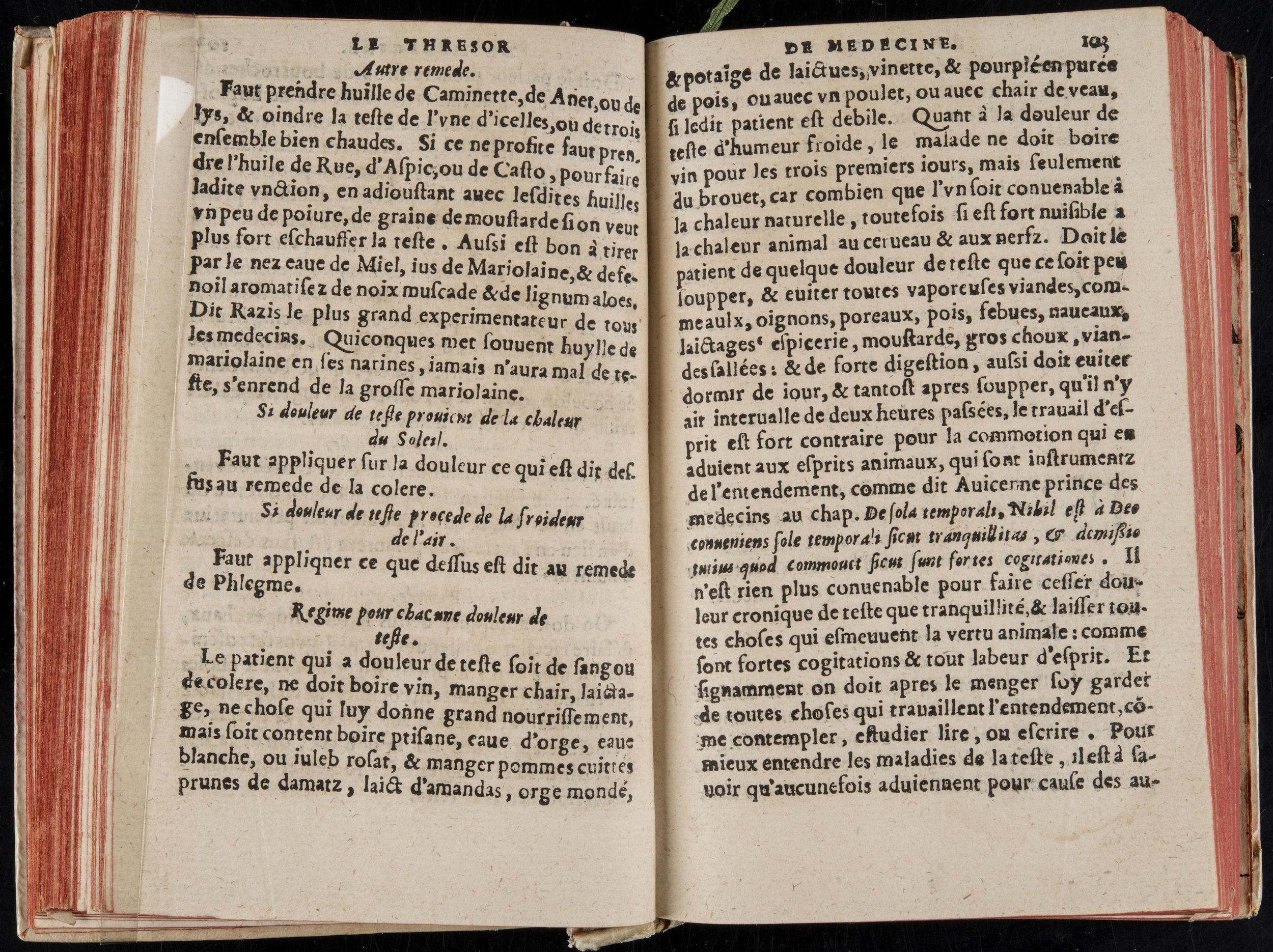 1560 - Nicolas Pelletier - Trésor de médecine - BM Poitiers