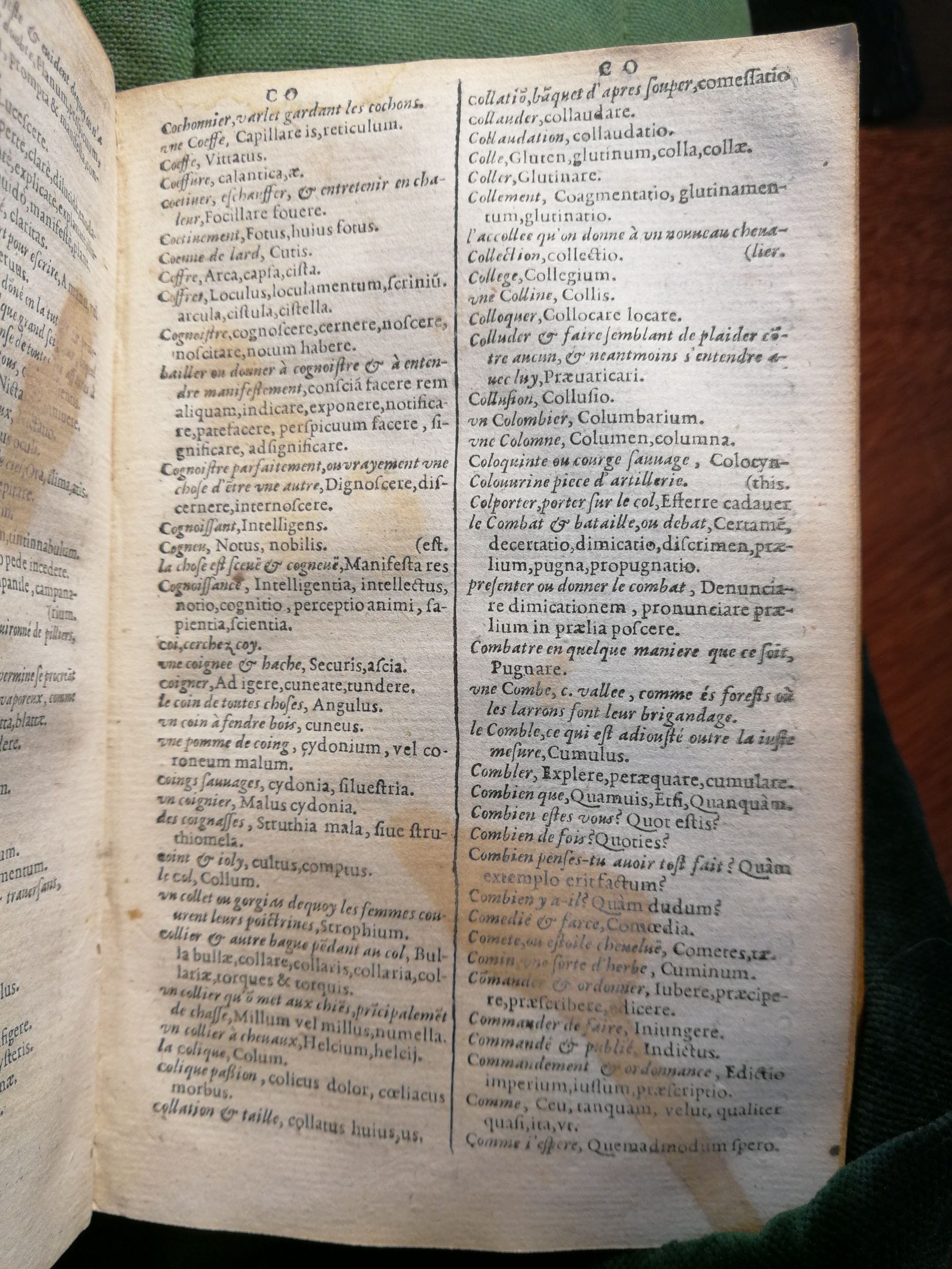 1597 - Martin le Mégissier - Trésor des mots et traits français - BnF