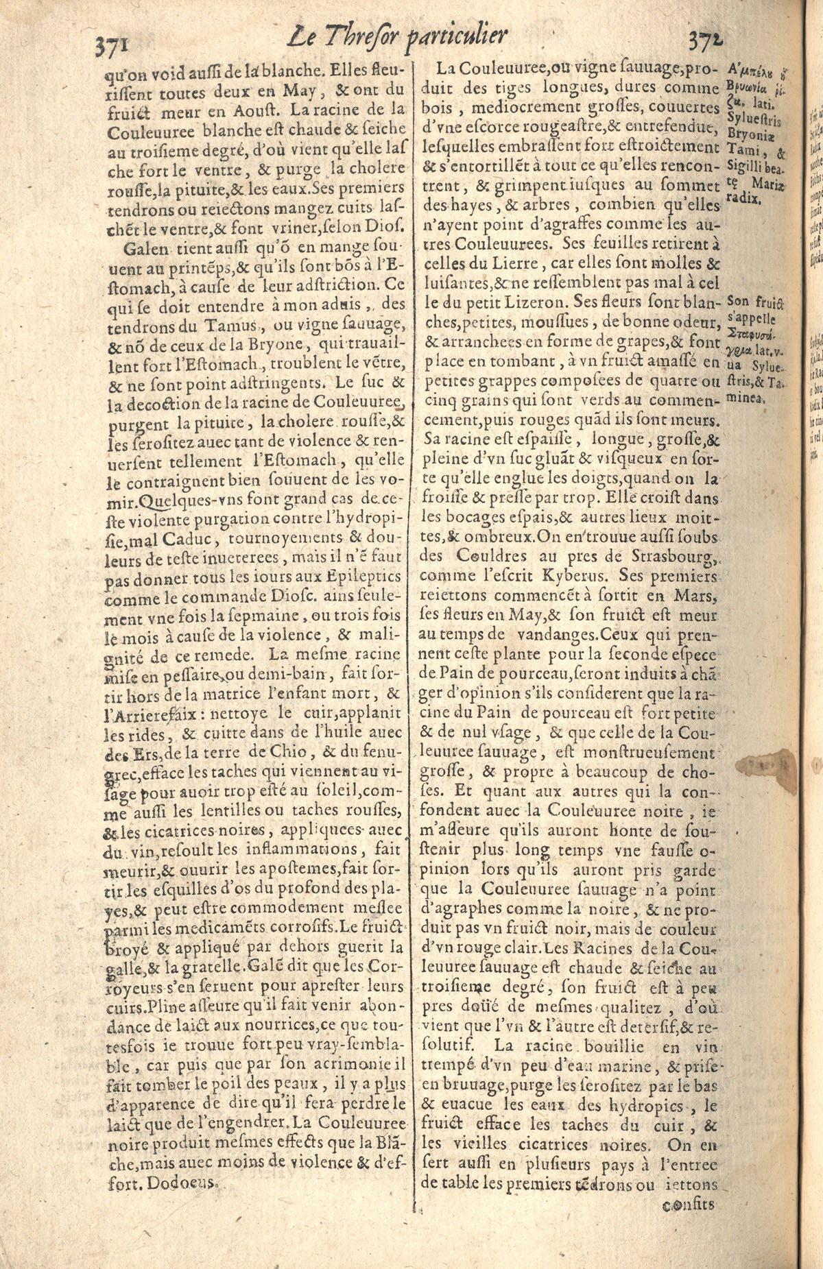 1610 - Étienne Gamonet - Grand Trésor ou dispensaire - CESR Tours
