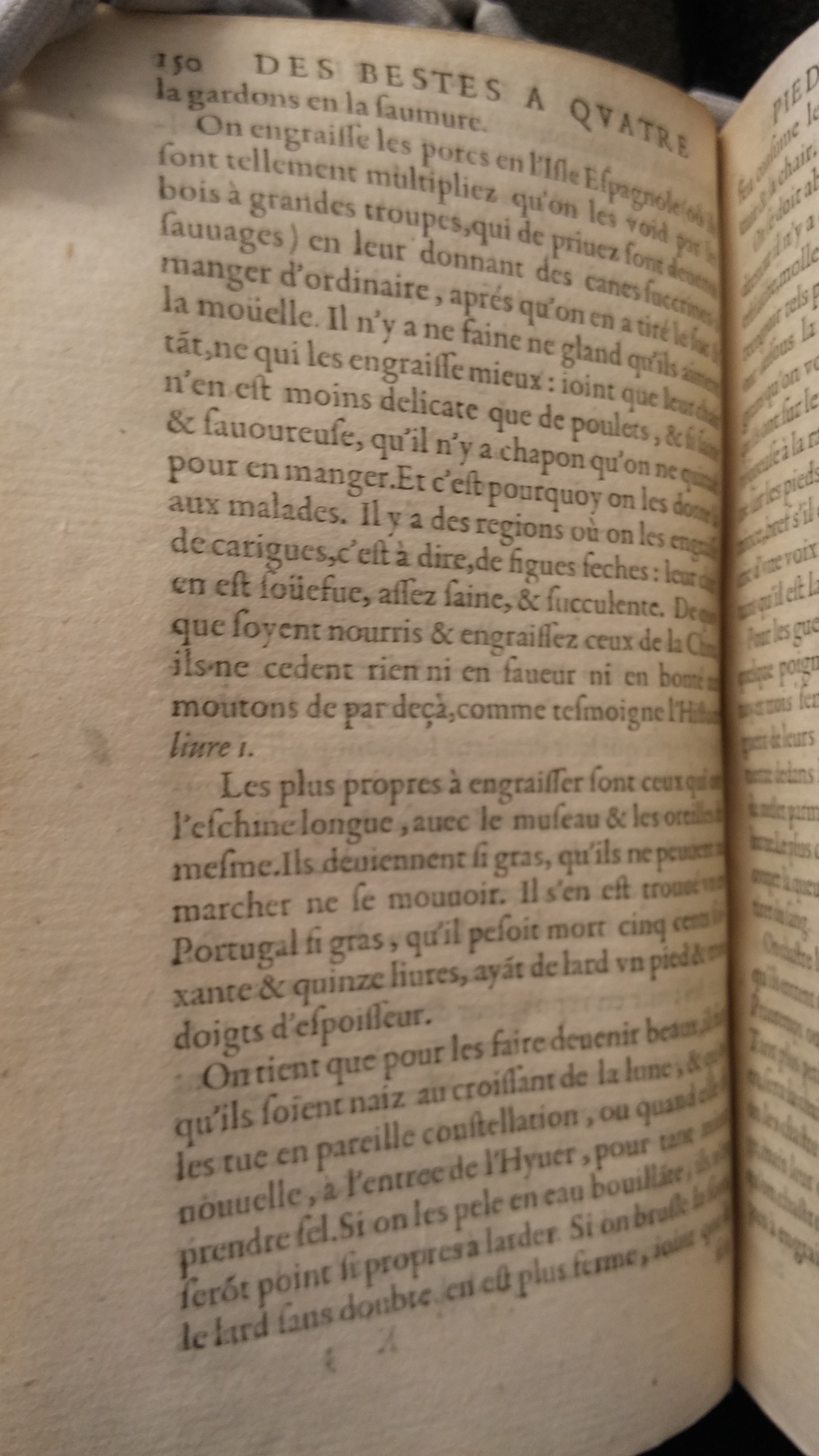 1616 - Étienne Servain et Jean Antoine Huguetan - Trésor de santé ou ménage de la vie humaine - Saint-Gallen