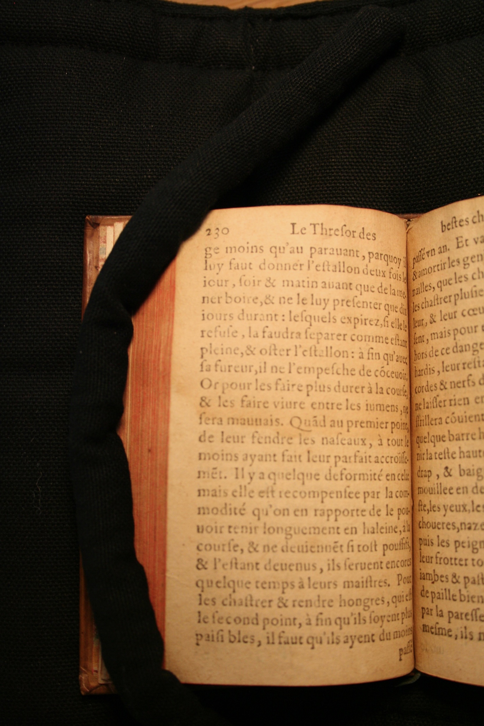 1591 - Pierre Chastaing et Benoît Rigaud - Trésor des bêtes chevalines - BM Bordeaux