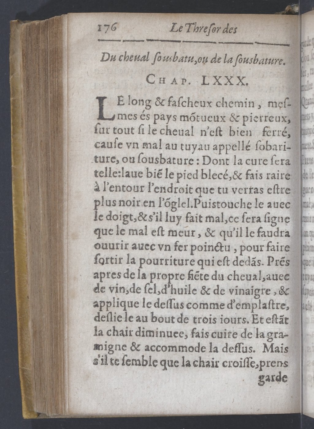 1619 - Pierre Rigaud - Trésor des bêtes chevalines - BnF 1619 - Pierre Rigaud - Trésor des bêtes chevalines - BnF