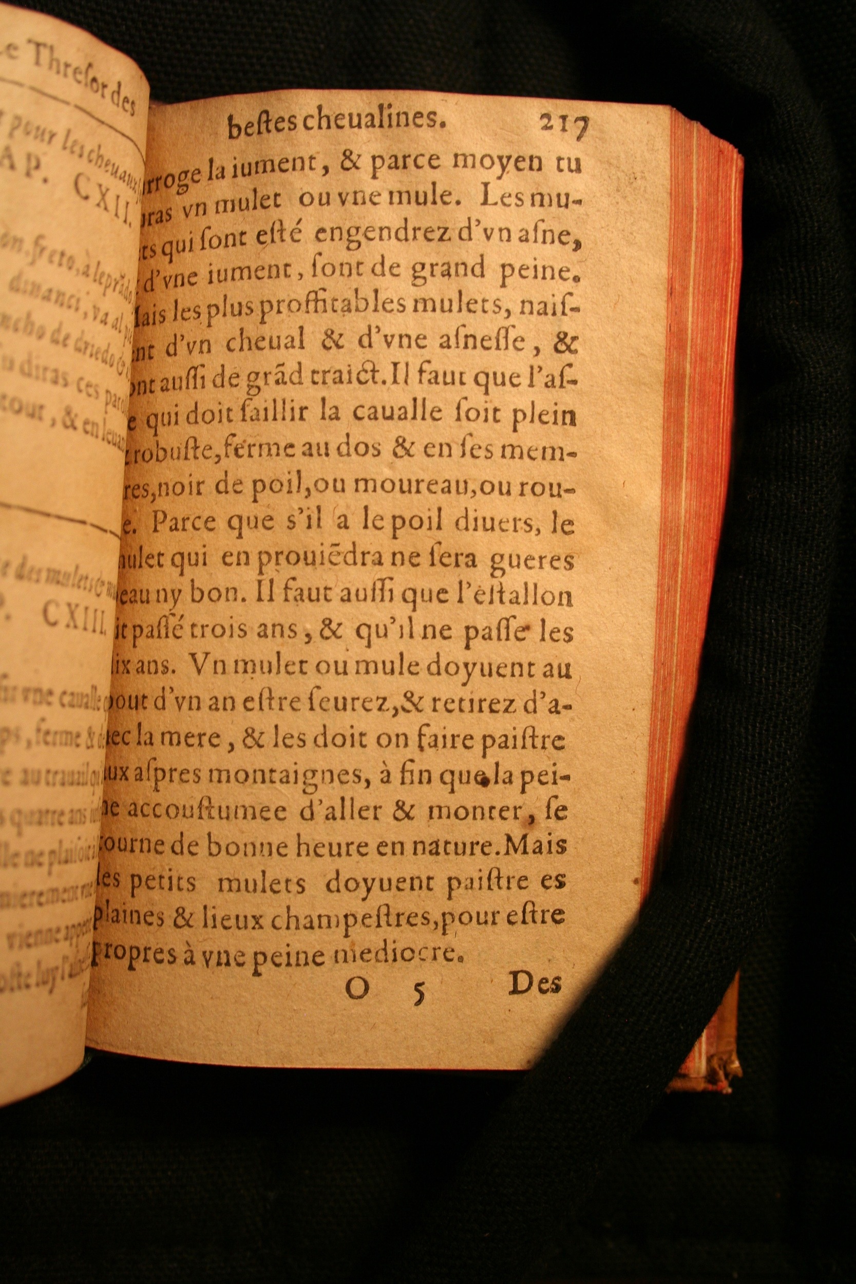 1591 - Pierre Chastaing et Benoît Rigaud - Trésor des bêtes chevalines - BM Bordeaux